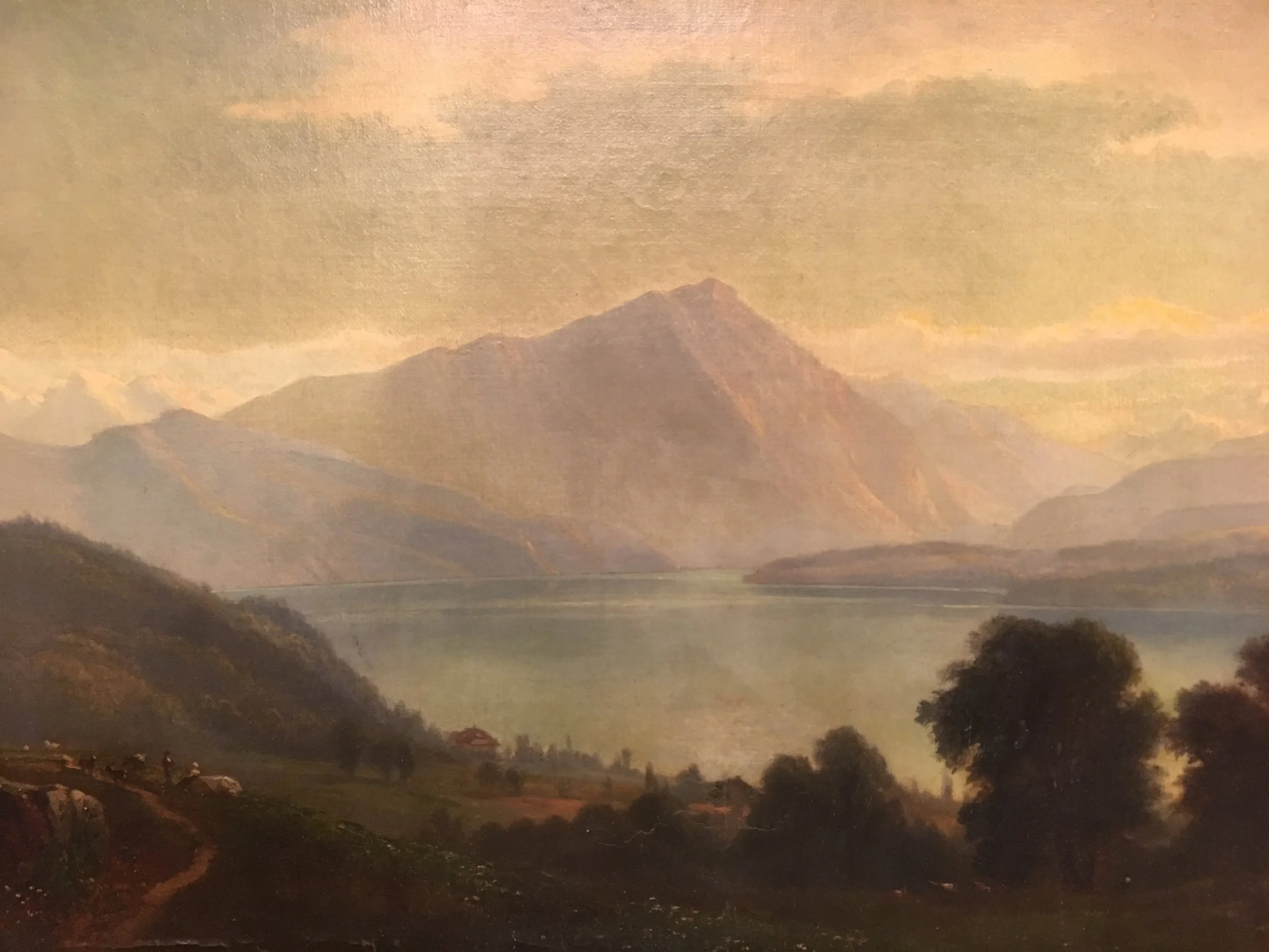 Lakeside Grazing