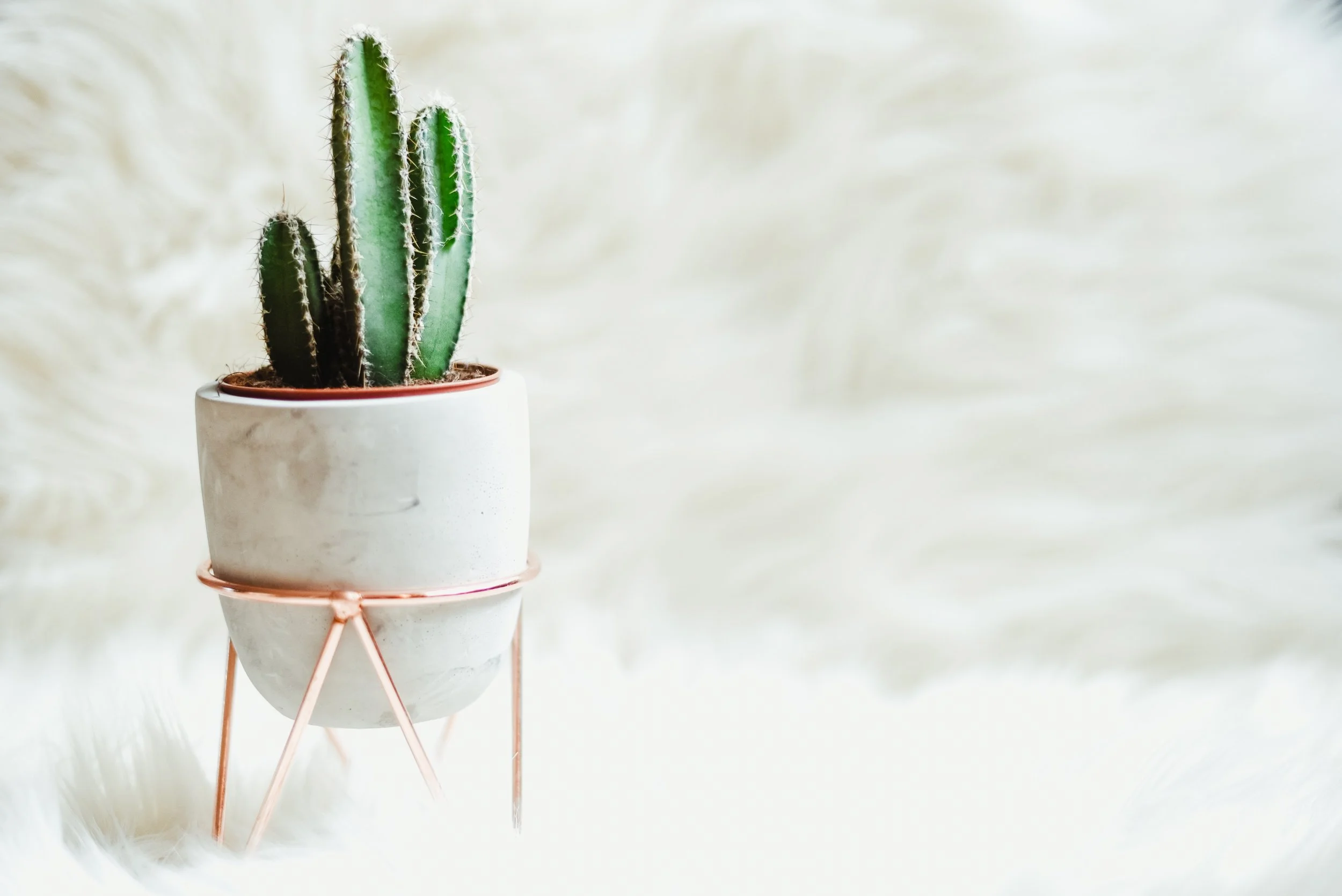 10 Simple Tips for Creating more Happiness in Your Life 