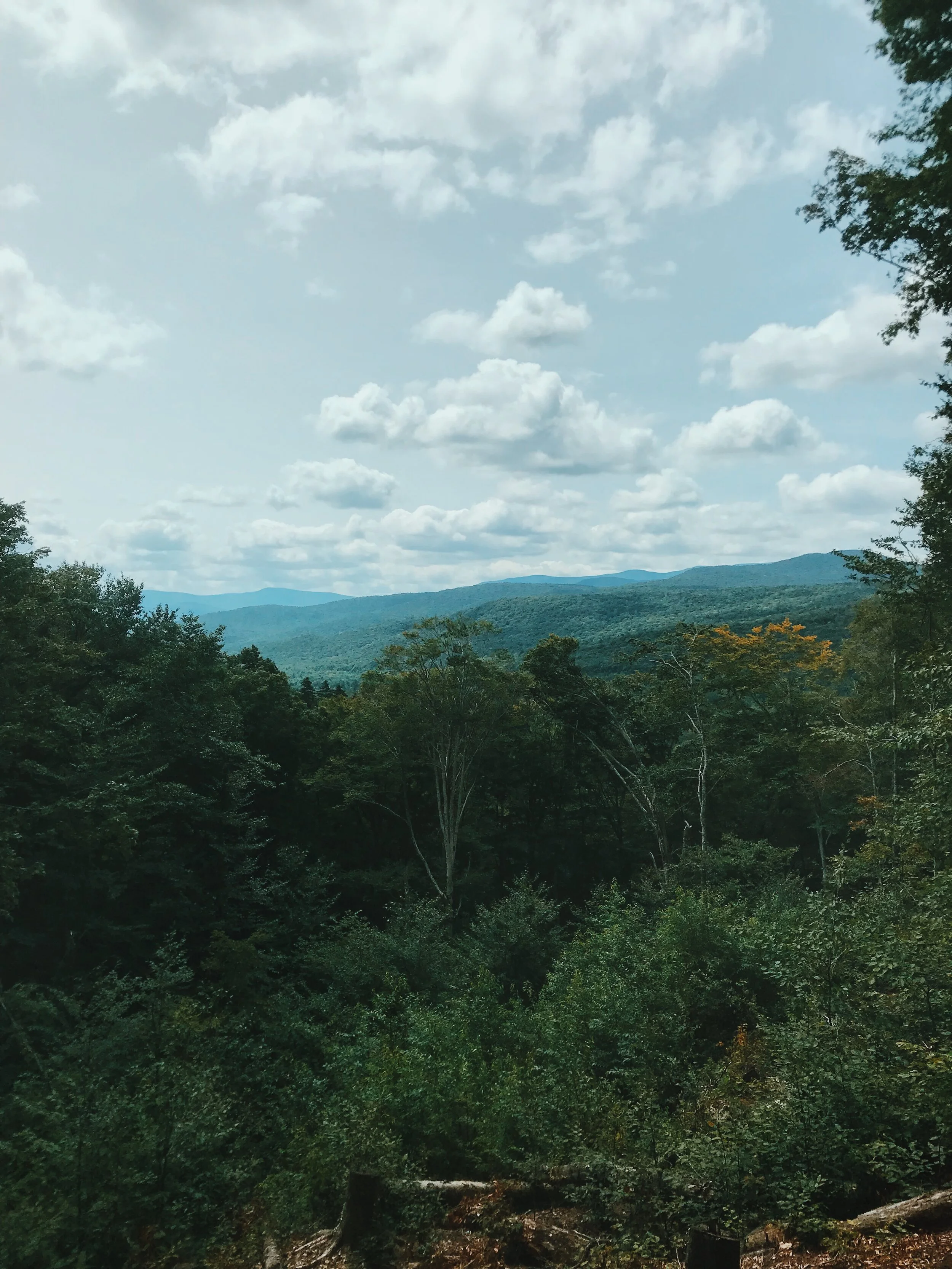 1A41B62B-2342-4C3E-942B-9D8A3F5C756F.JPG