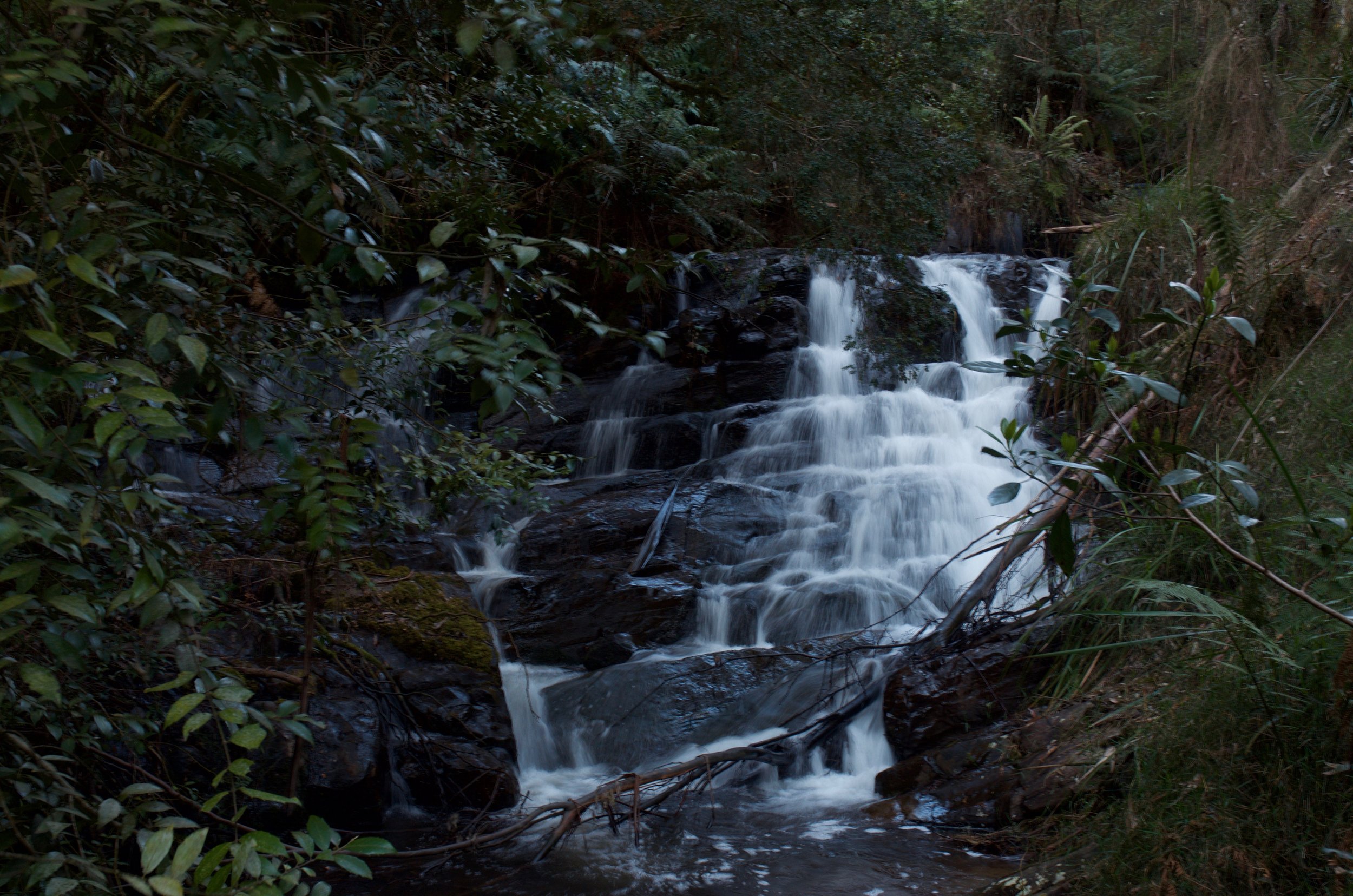 Sylvia Creek Falls.jpg