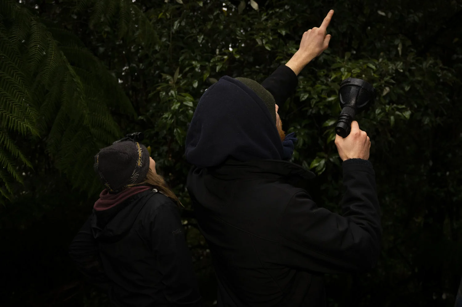 Above: WOTCH surveyors conduct a spotlight survey in the forest.