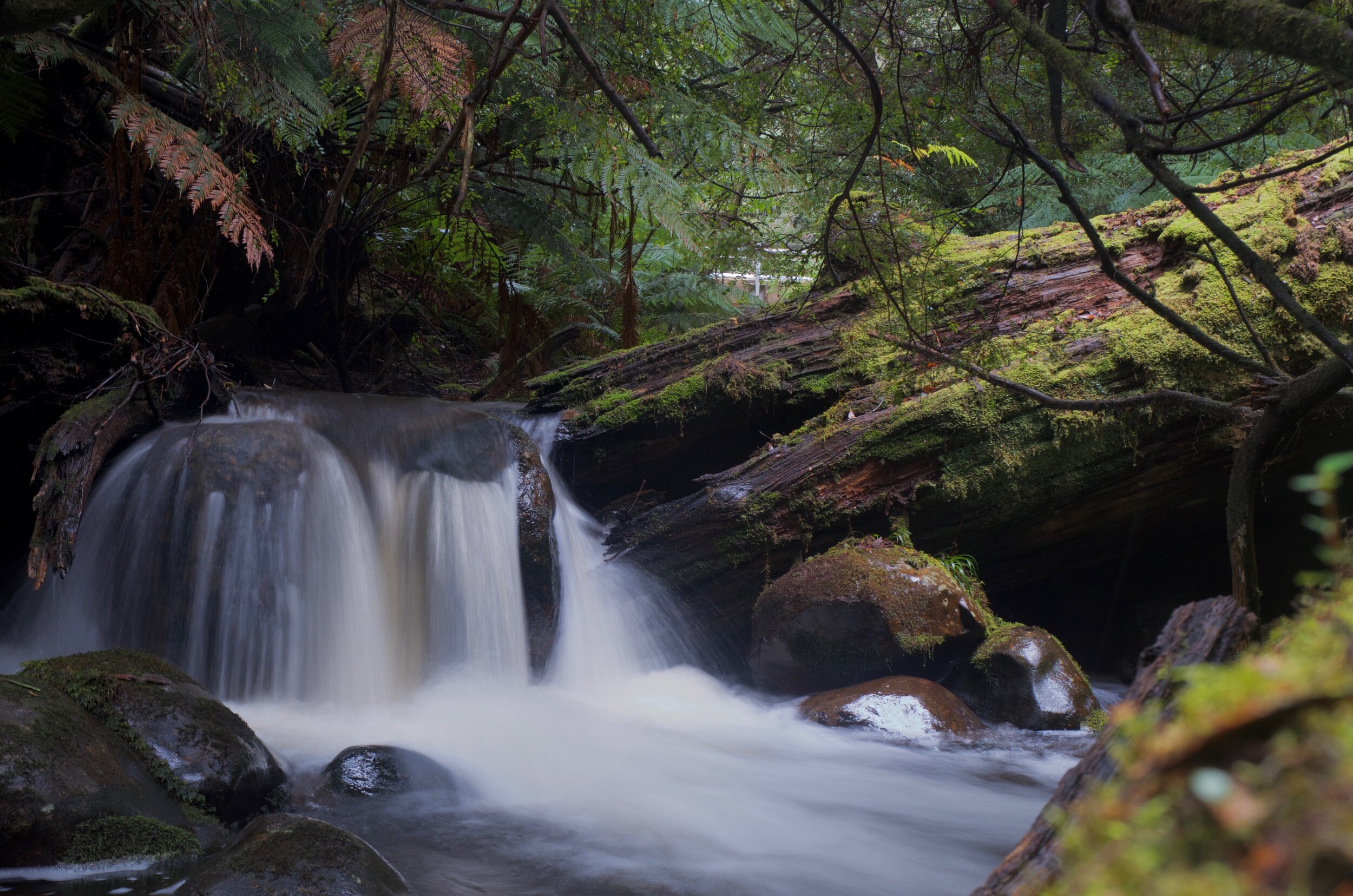 Koala Creek Falls 1.jpg