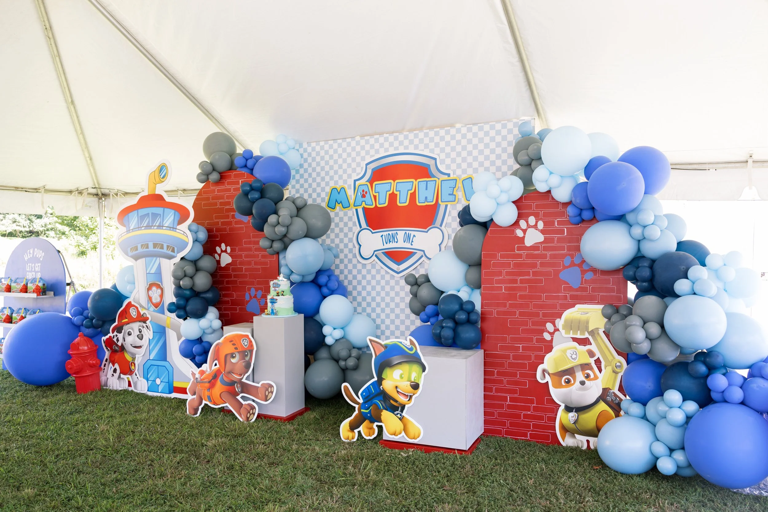 Paw Patrol themed first birthday party with custom balloon garland and character backdrop by Virginia event planner