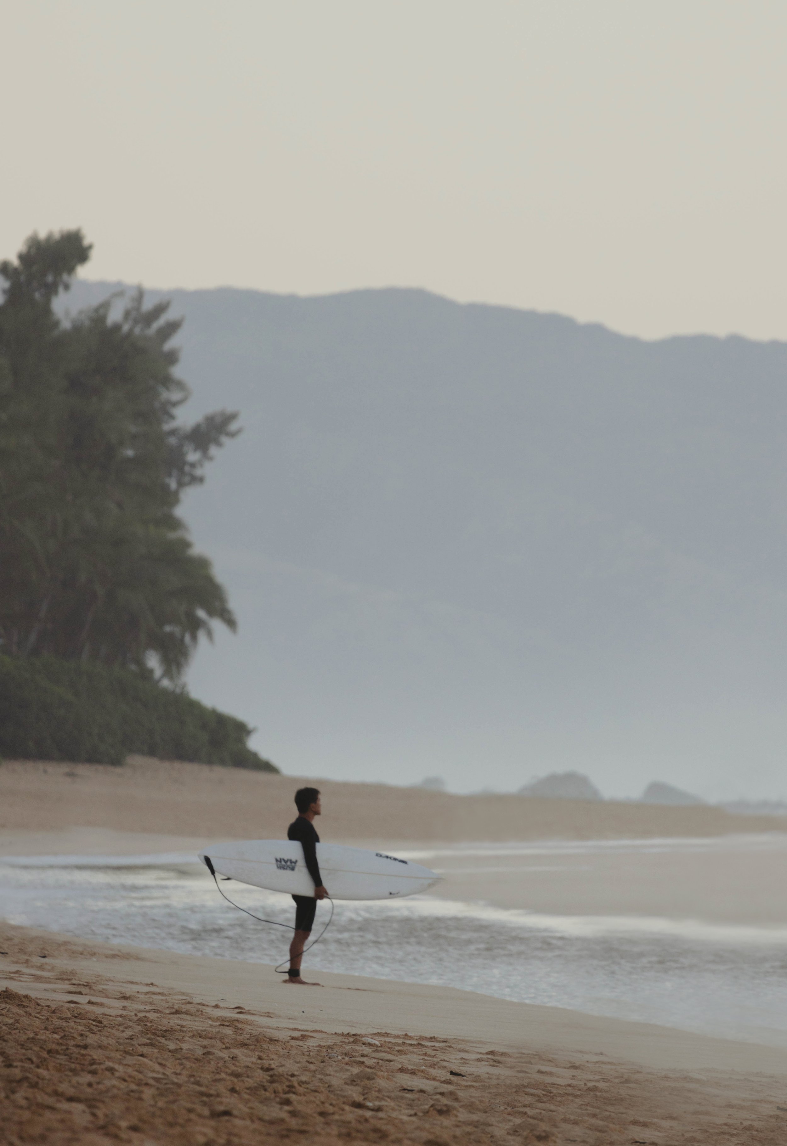 surf print cropped.jpg
