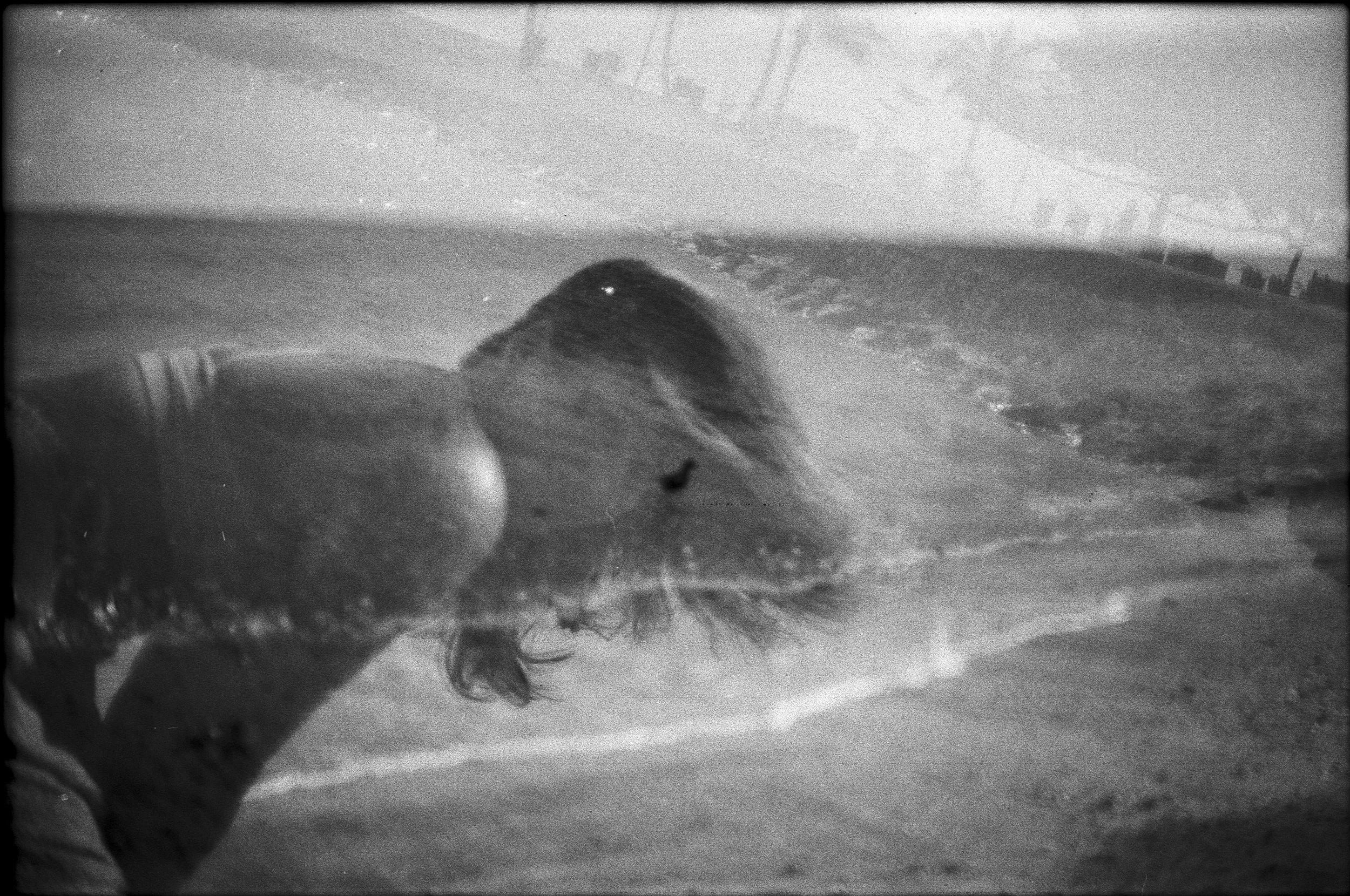 canonA1_k100_diamond 2.JPG