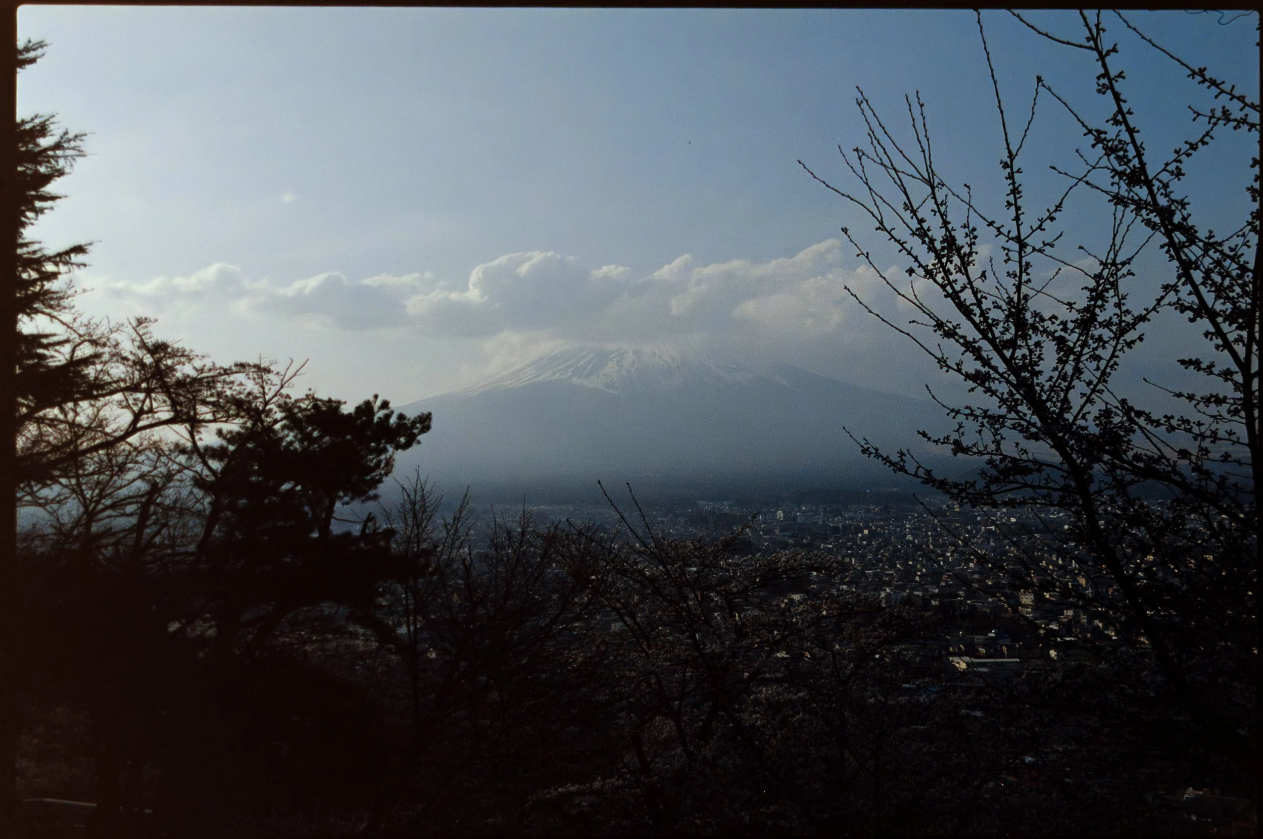 DMP_5679 copy-Enhanced-NR.jpg