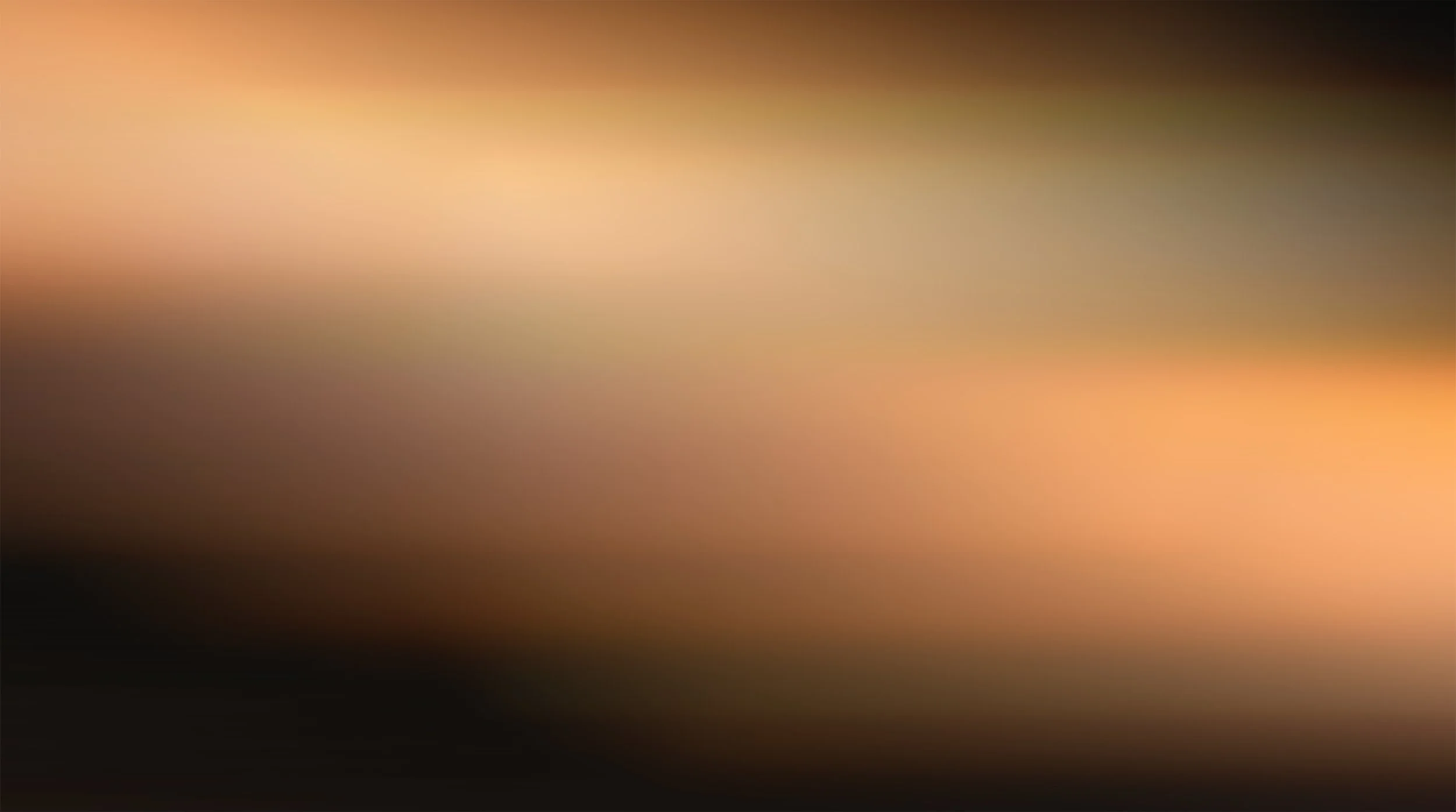 Screen Shot 2022-08-16 at 1.01.28 PM.jpg