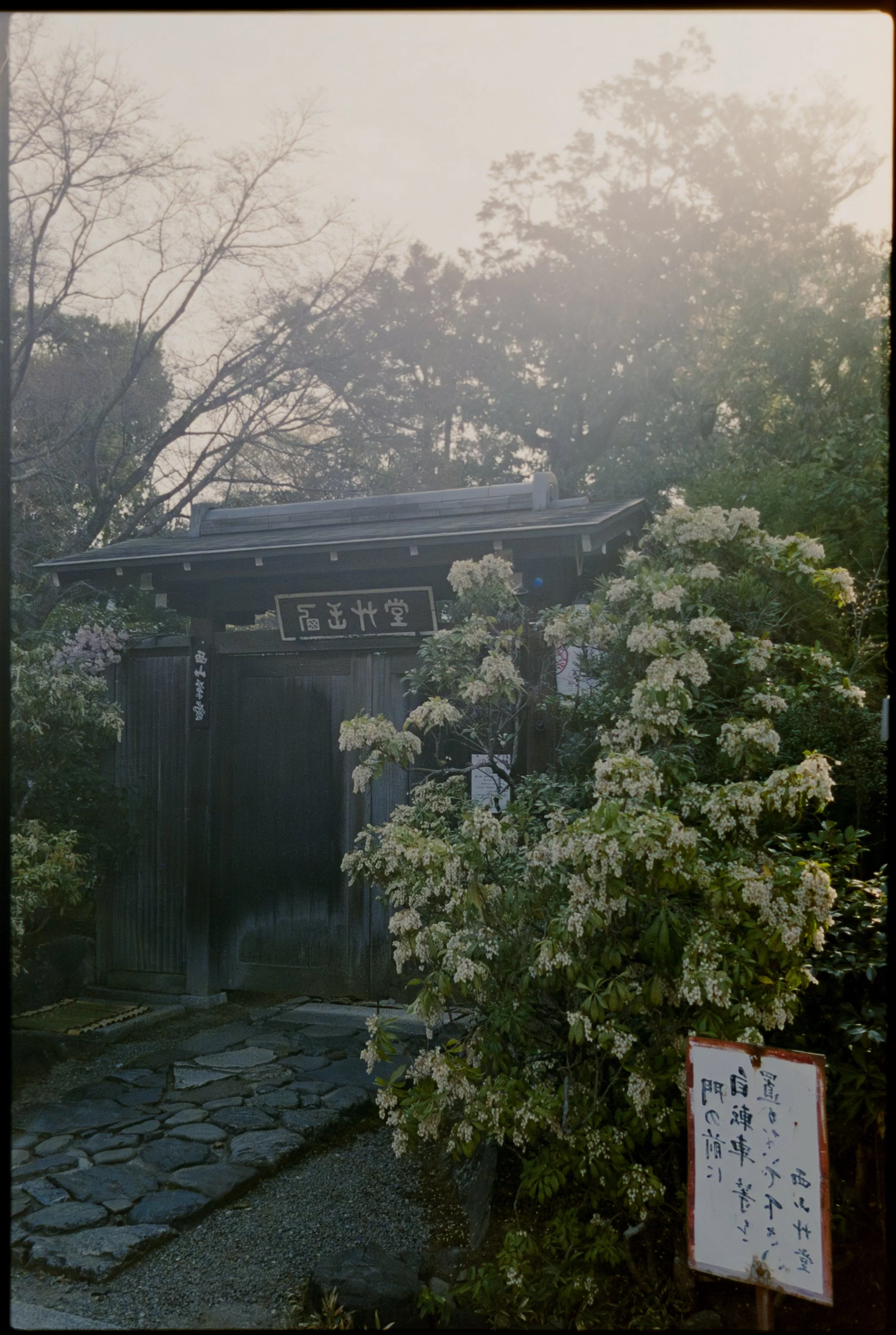 DMP_5678 copy-Enhanced-NR.jpg