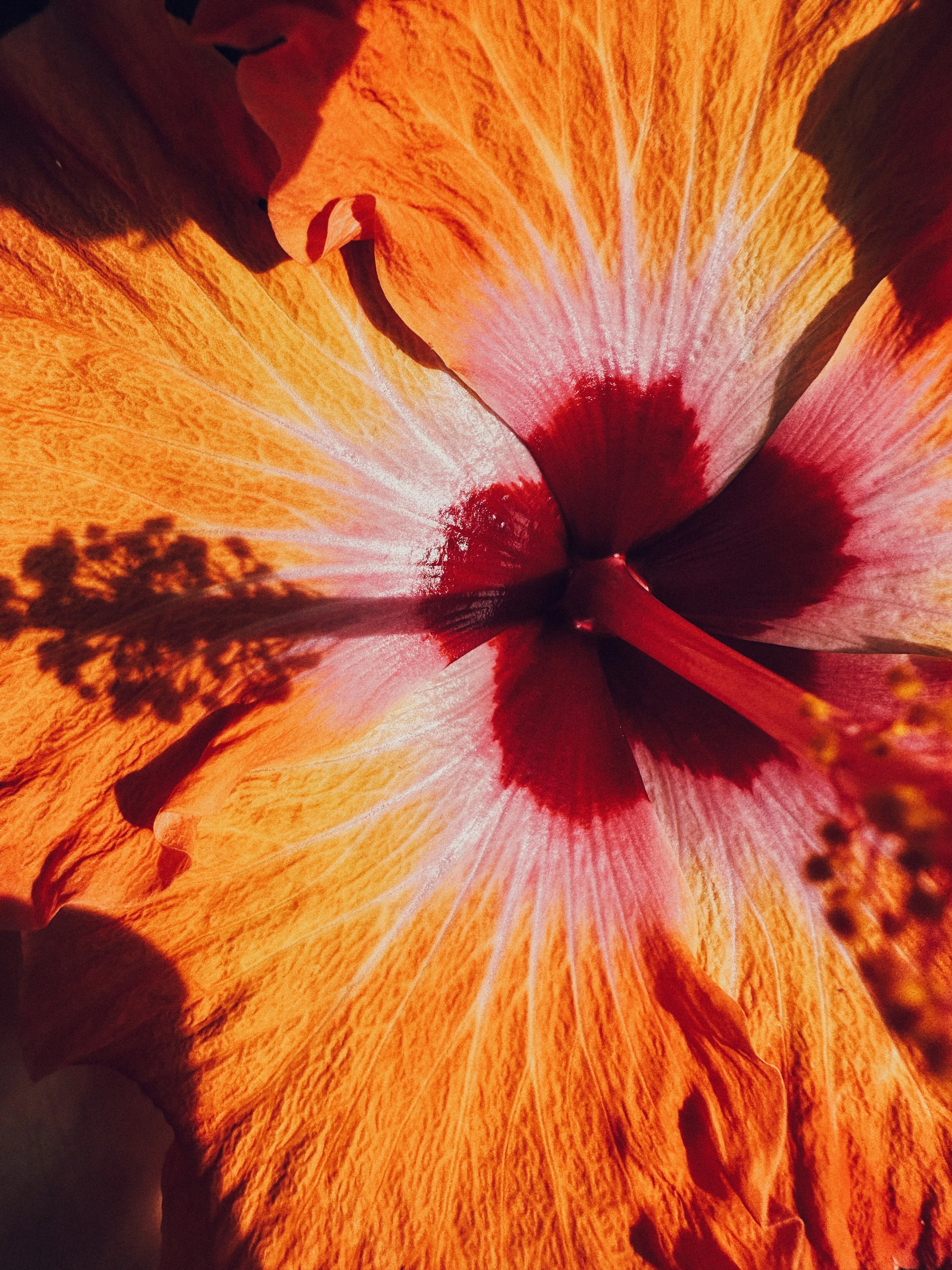 1ECA9FC7-E620-4E1E-8F69-F15DD4F08A0B (1).jpeg