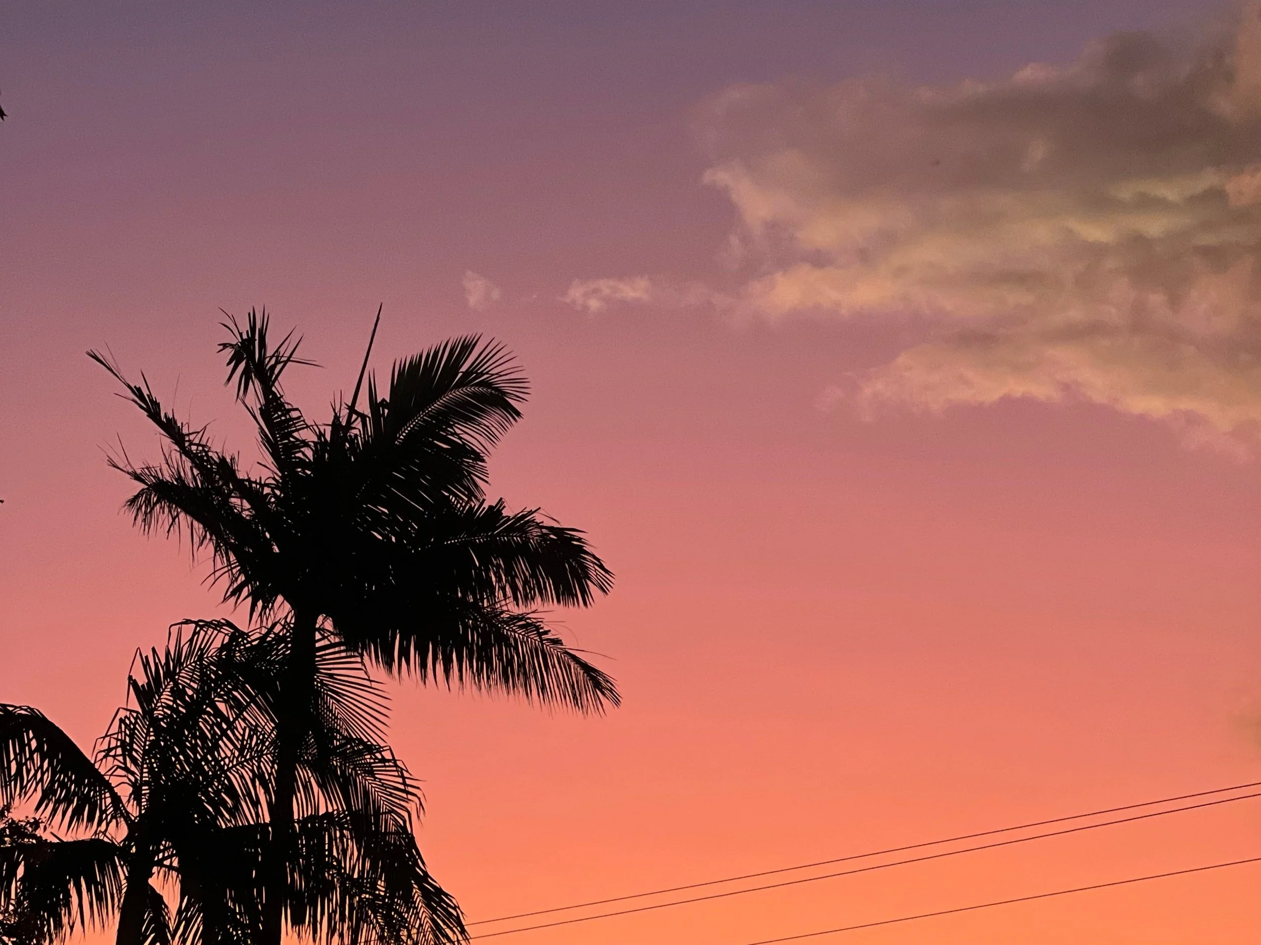 Look for the Good/Loving the Shit of out You!