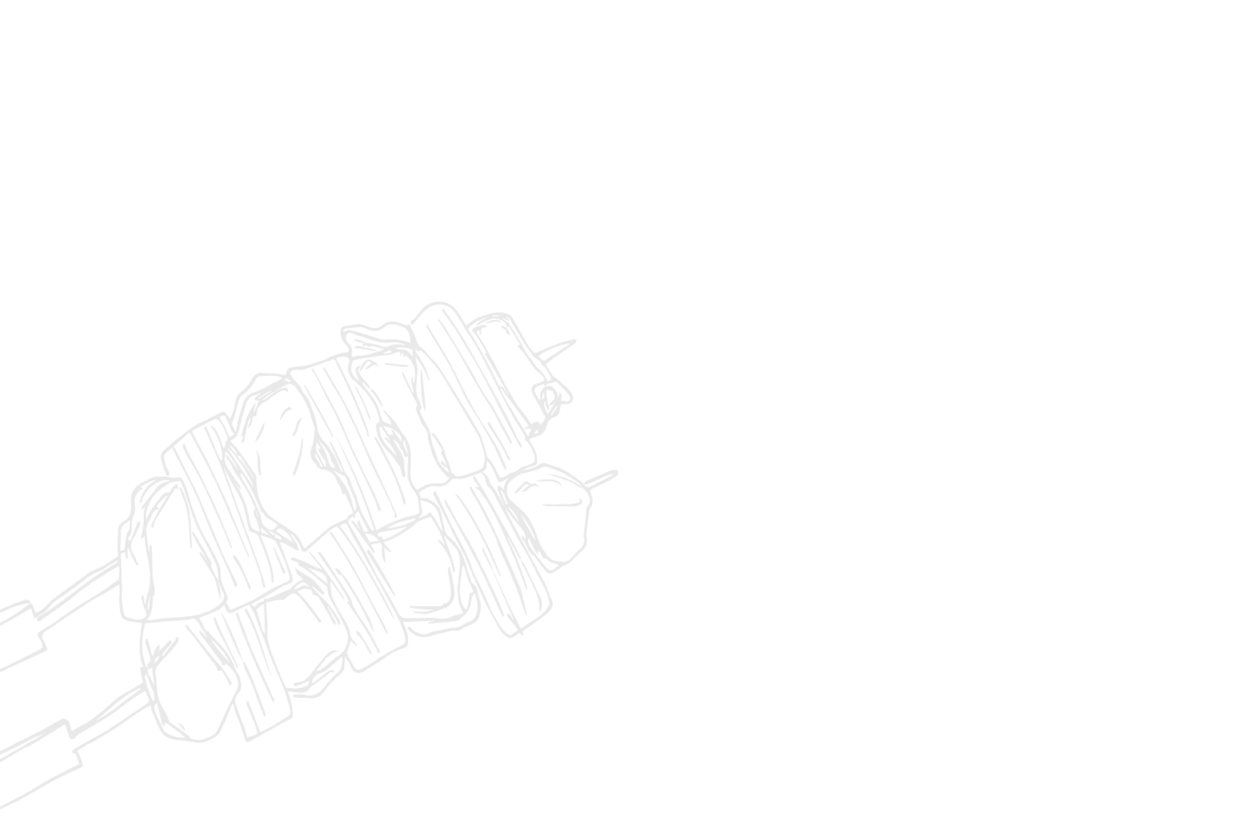 Torima_Backsplash.png