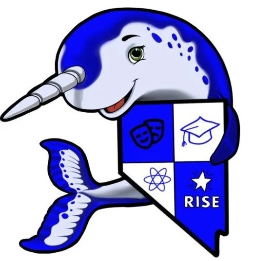 narwhal.jpg