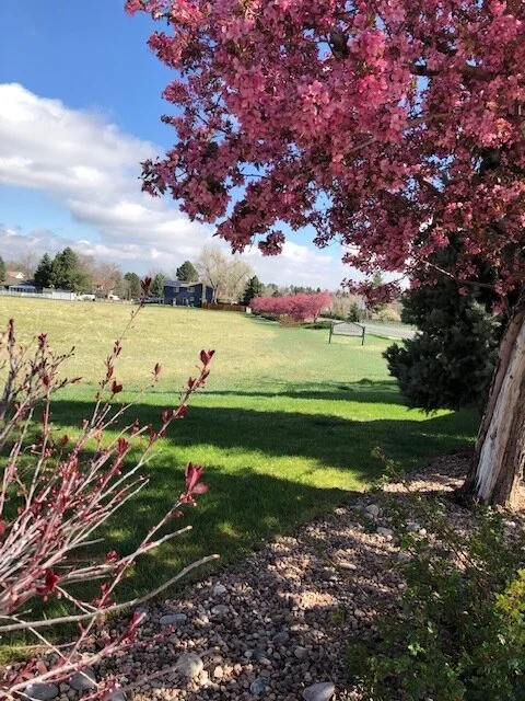 SUNSET SPRING 2021 2.JPG