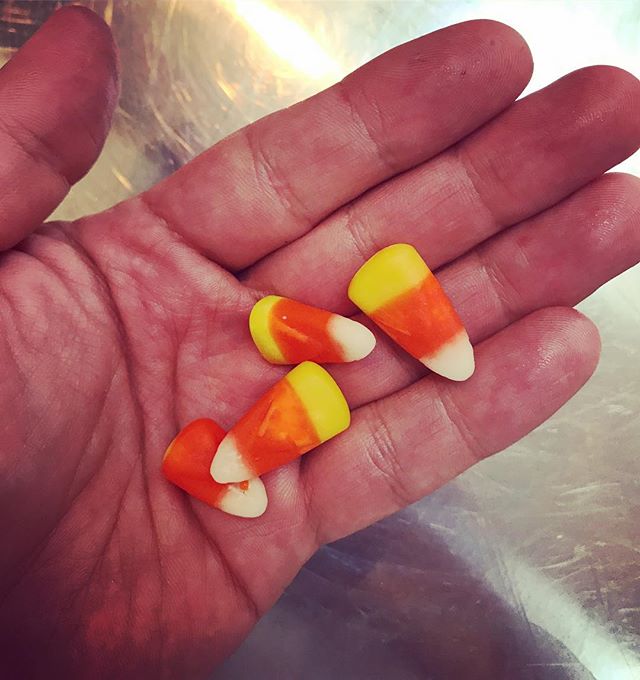 Happy Halloween! 🎃Love it or hate it #candycorn is a classic.