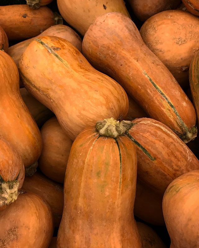 Getting ready for all things fall as the #farmersmarket transitions to #autmn #ingredents like #butternutsquash from @weiserfamilyfarms @smfms