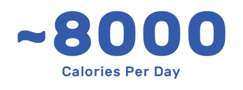 cob_numbers-tif-8000-2.png