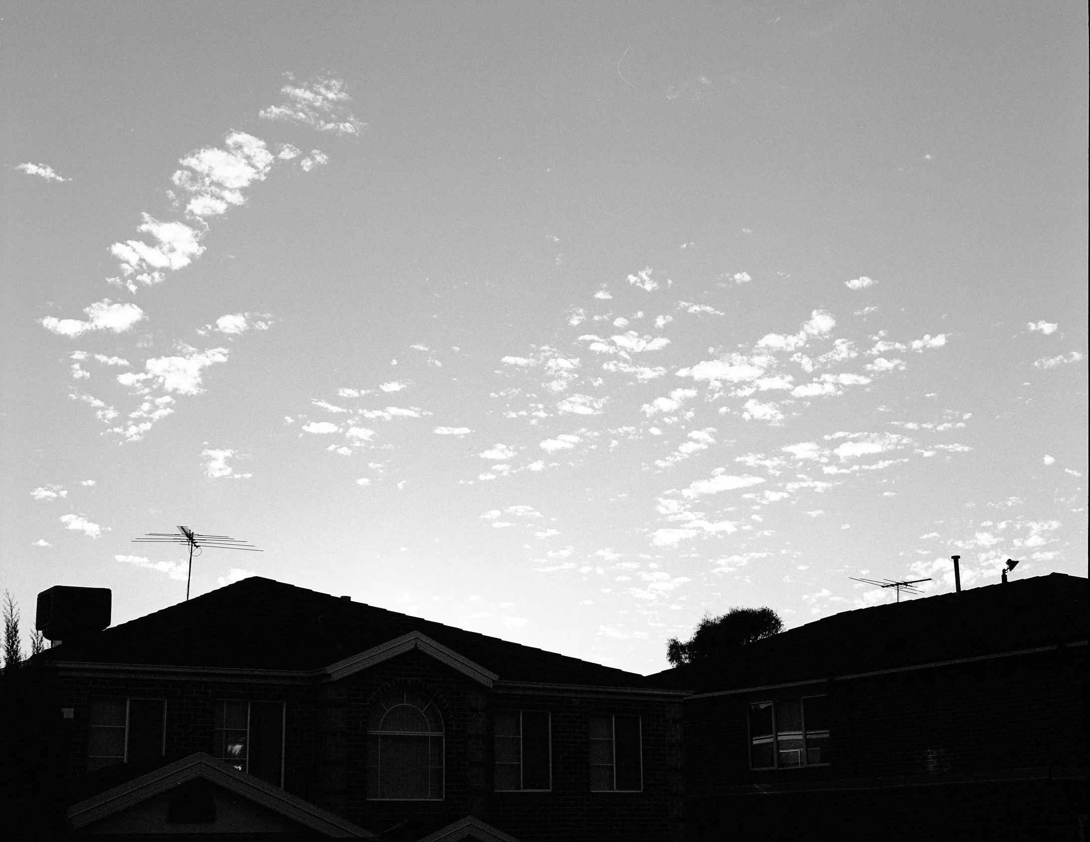 img764.jpg