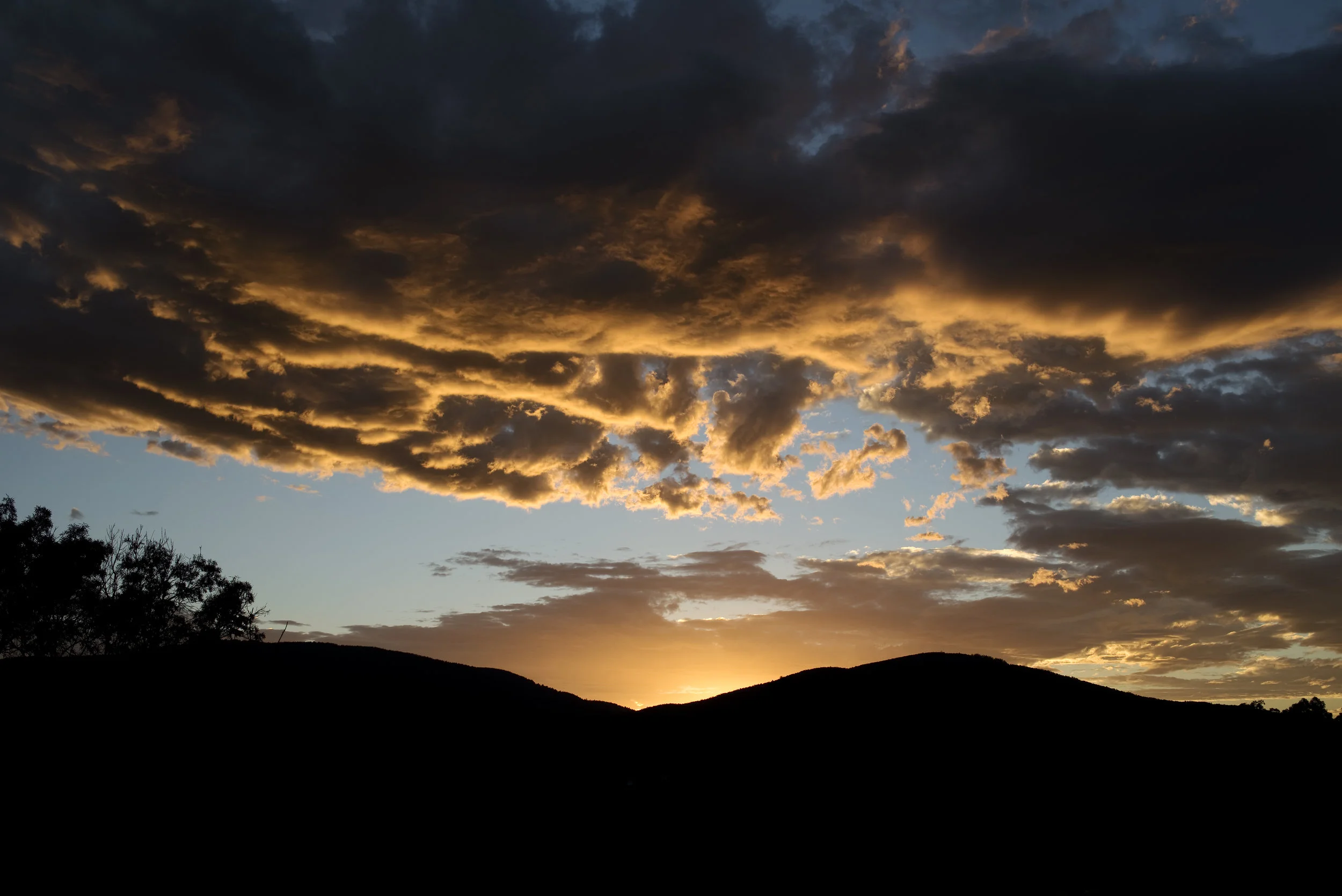yarra junction dawn 2.jpg