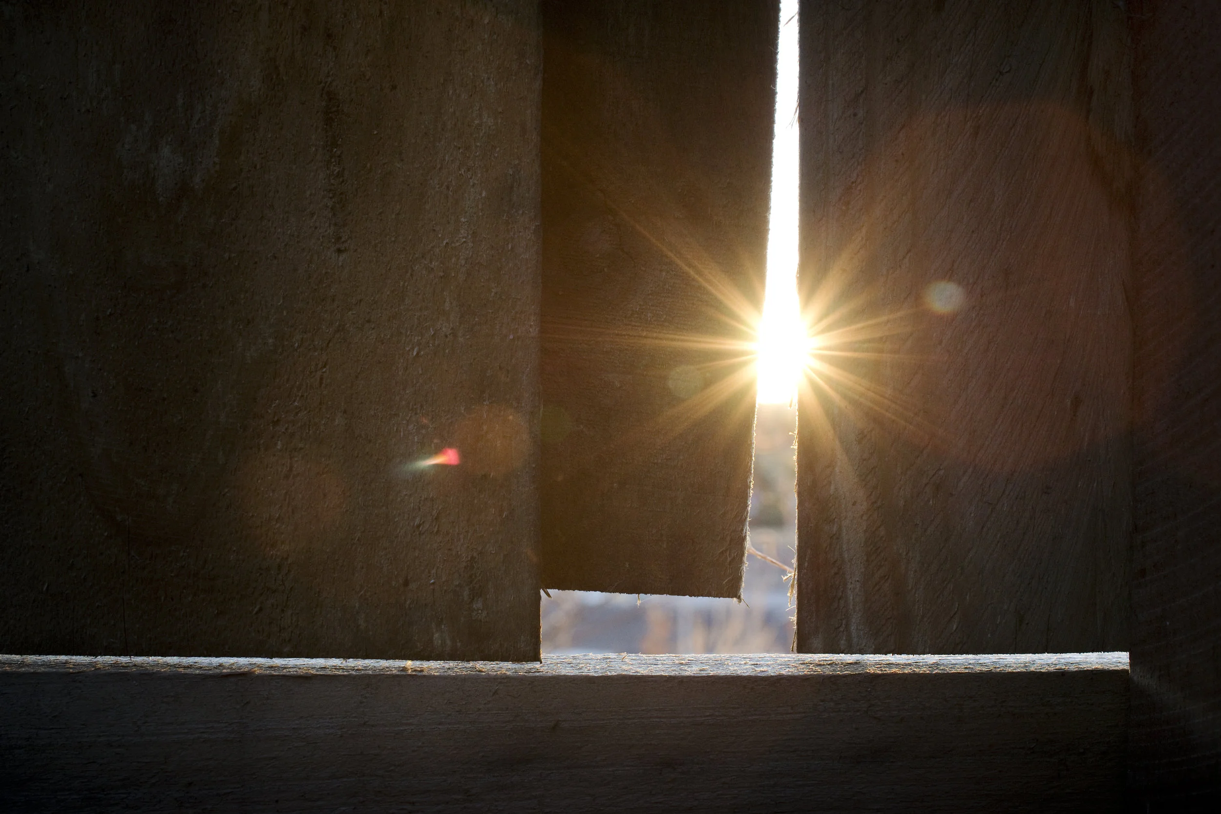 light through fence.jpg