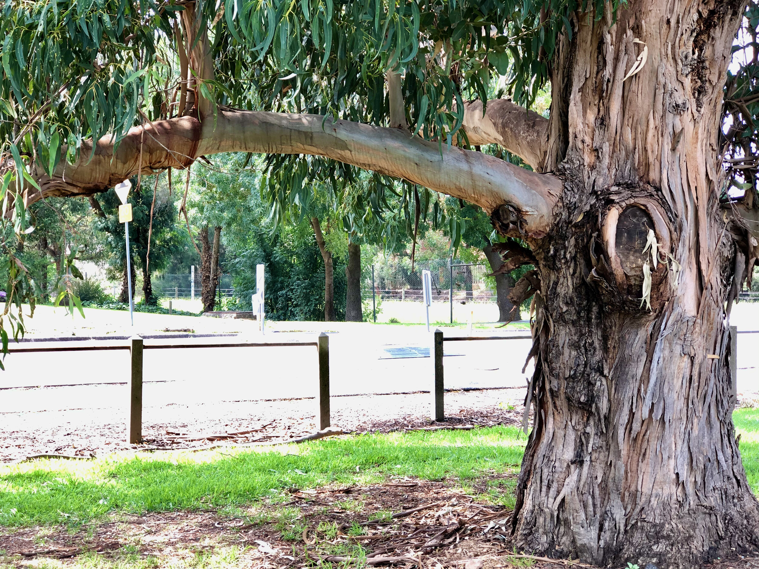 Structural integrity