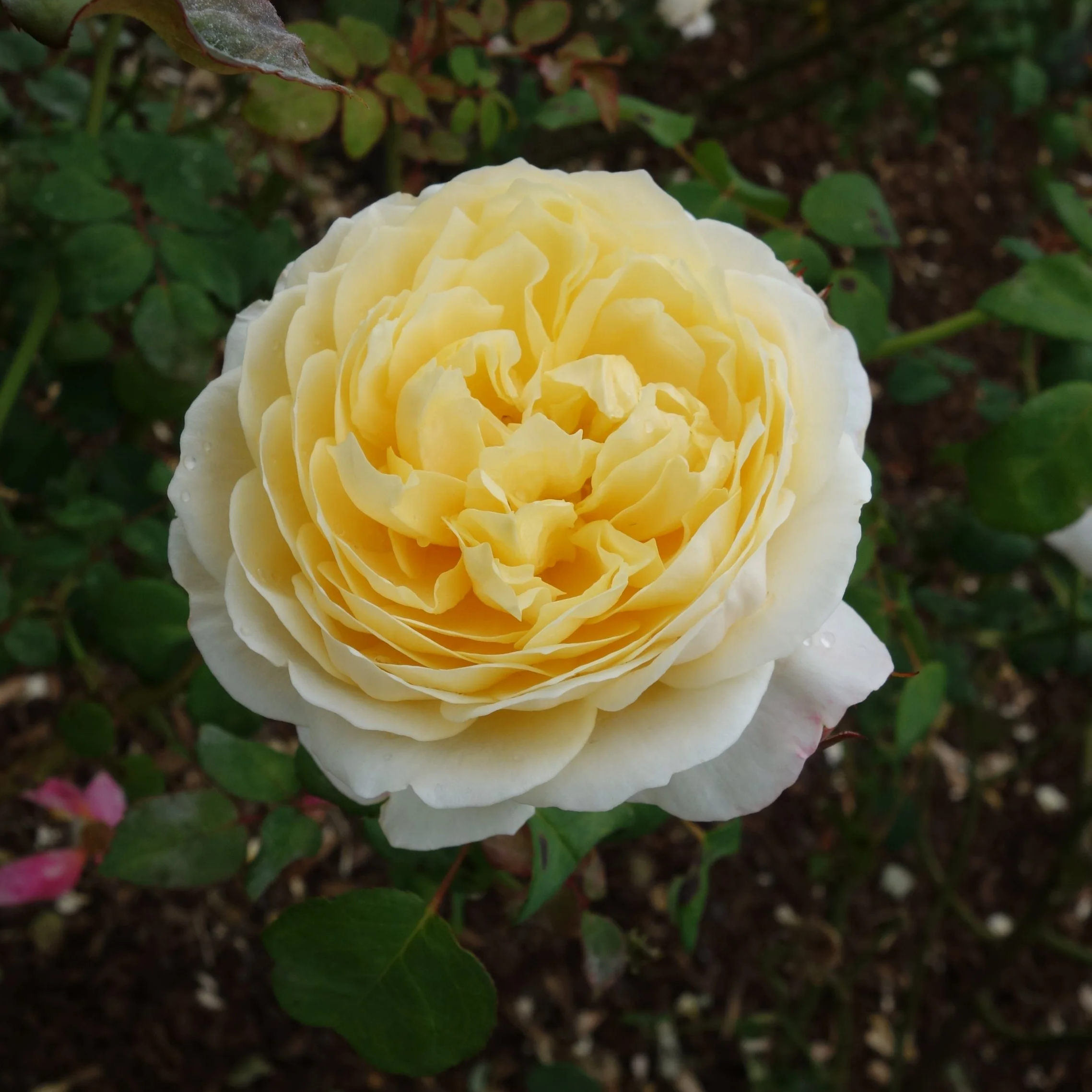 God's power and care