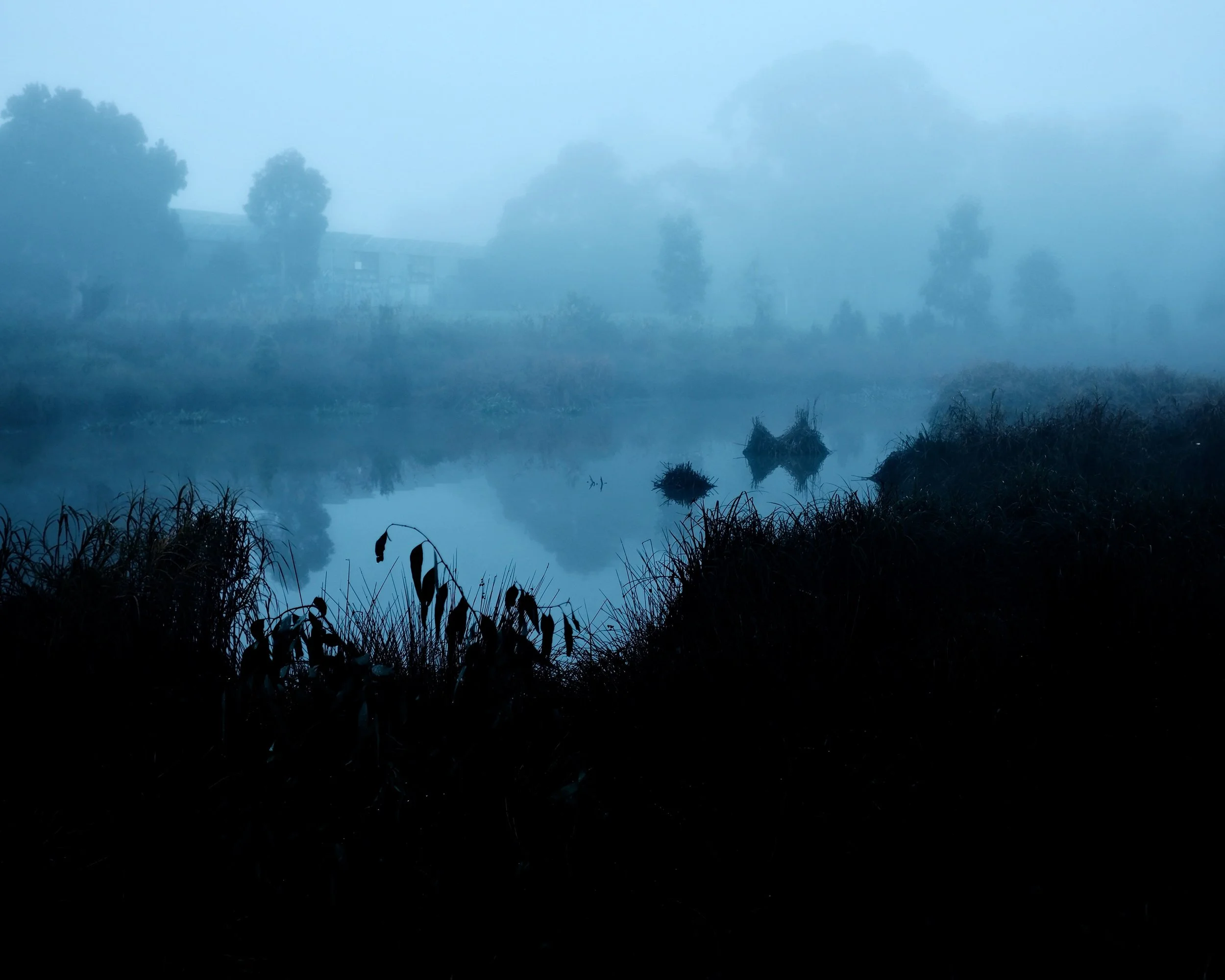 Fog