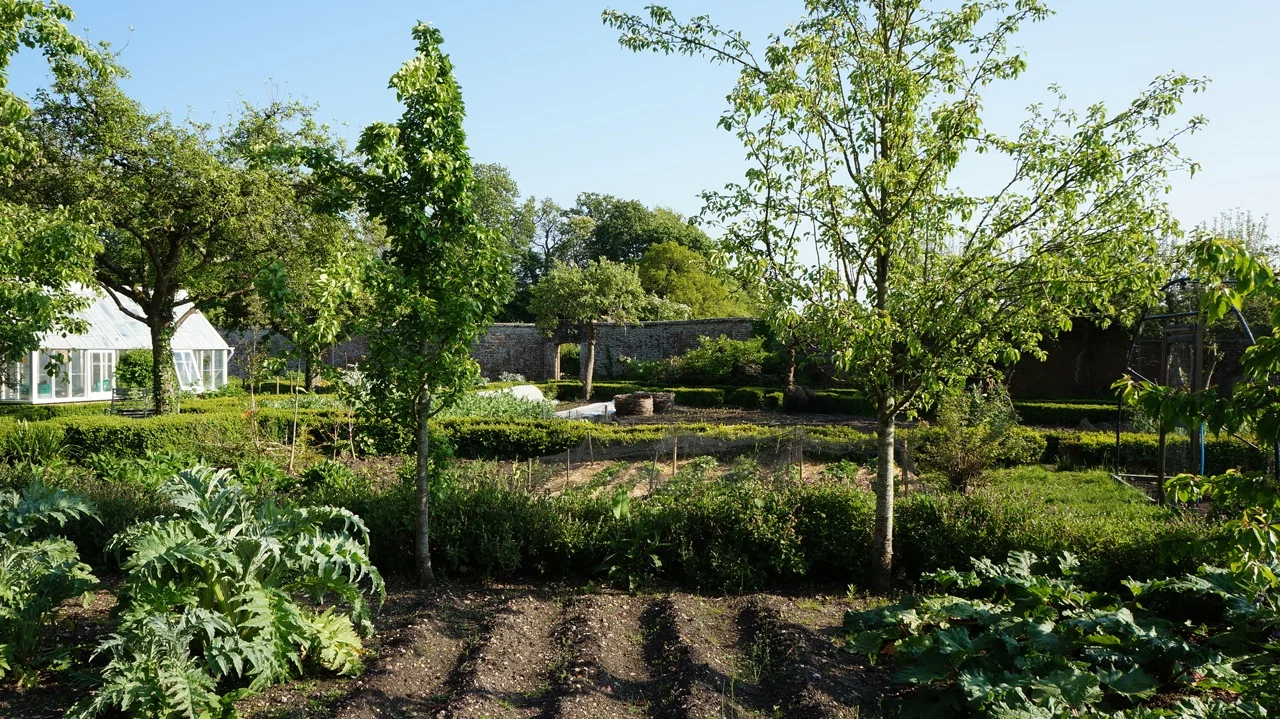 Garden.jpg