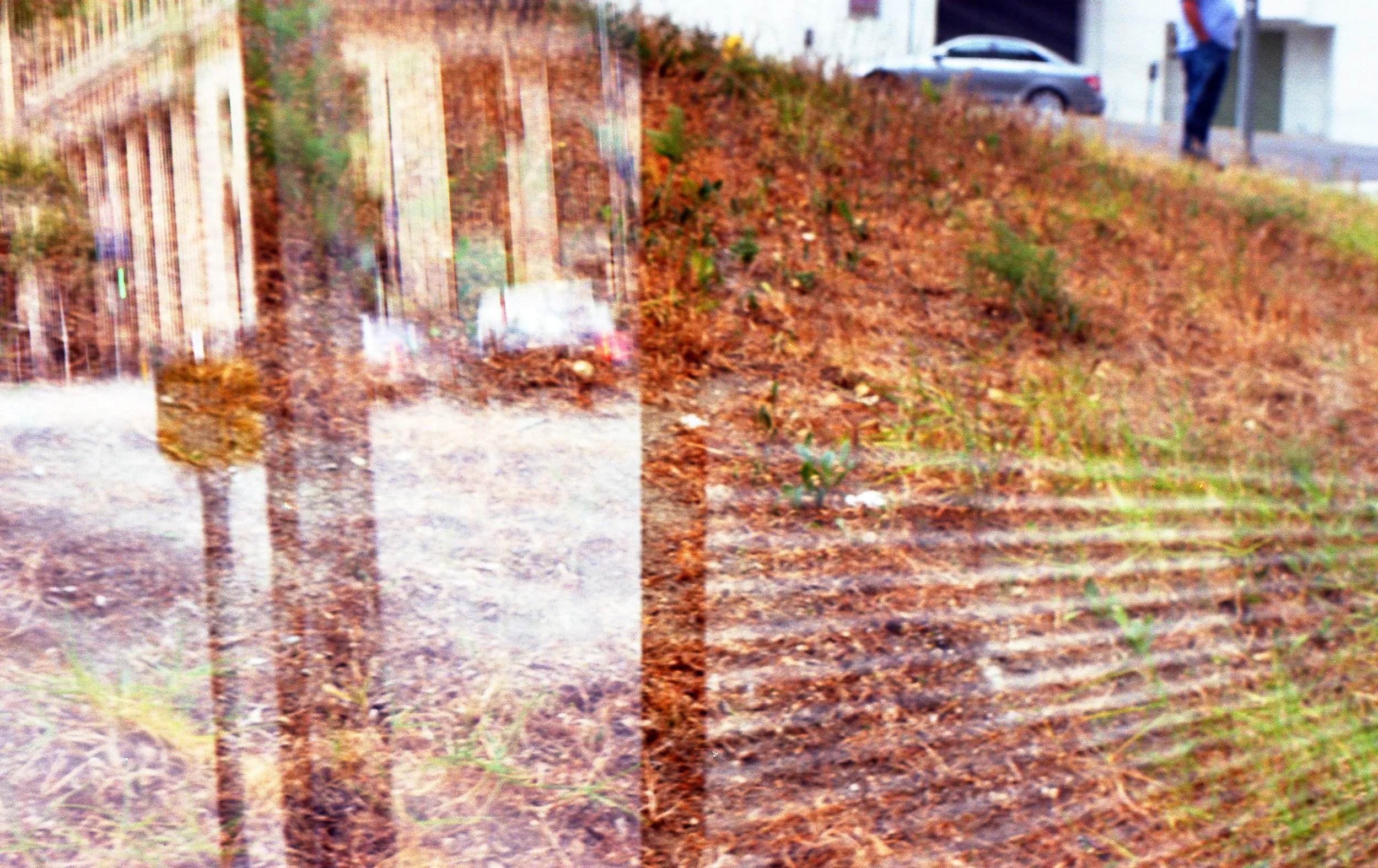 A Lyricist Will Rule The World