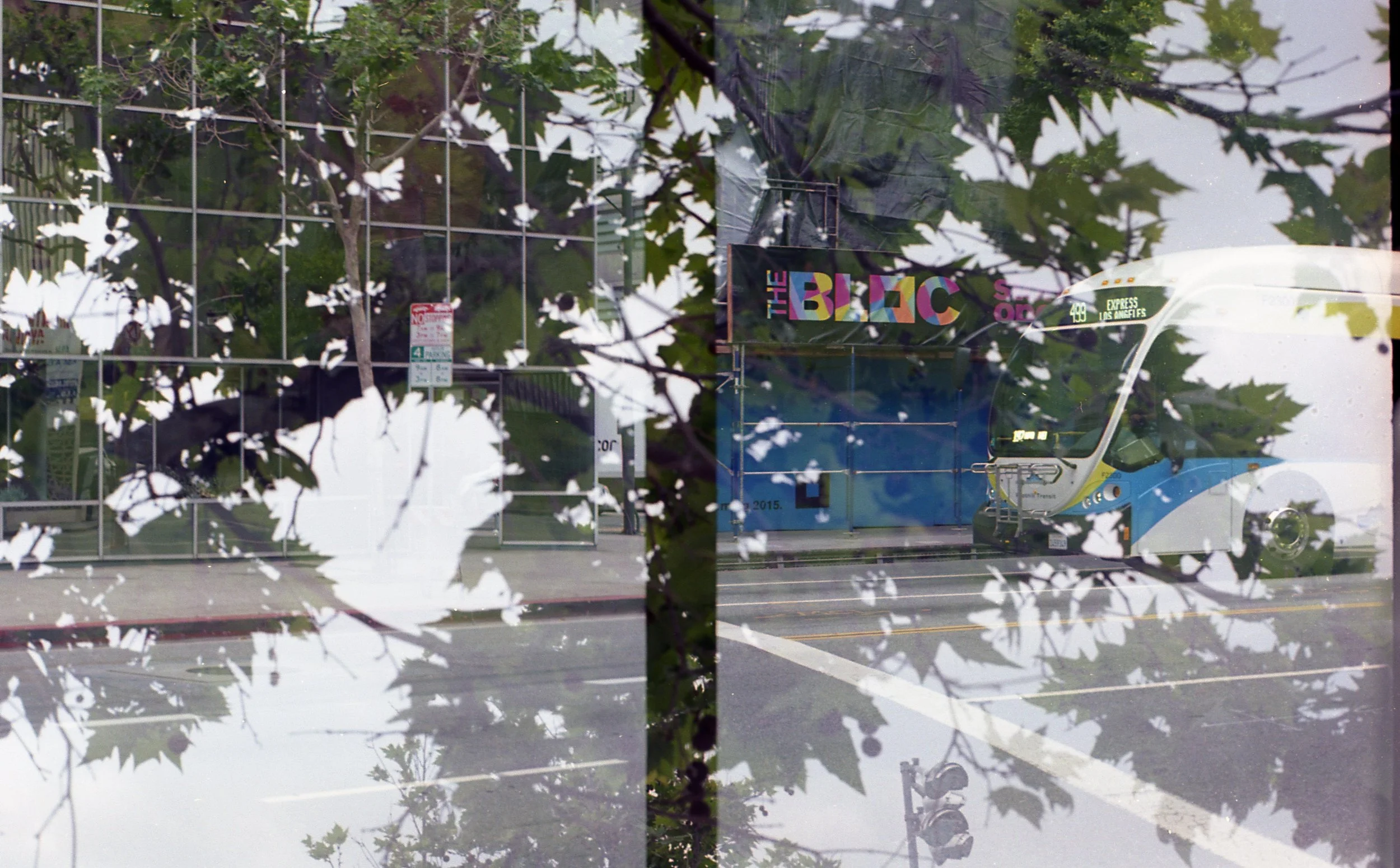 When I could do no Wrong