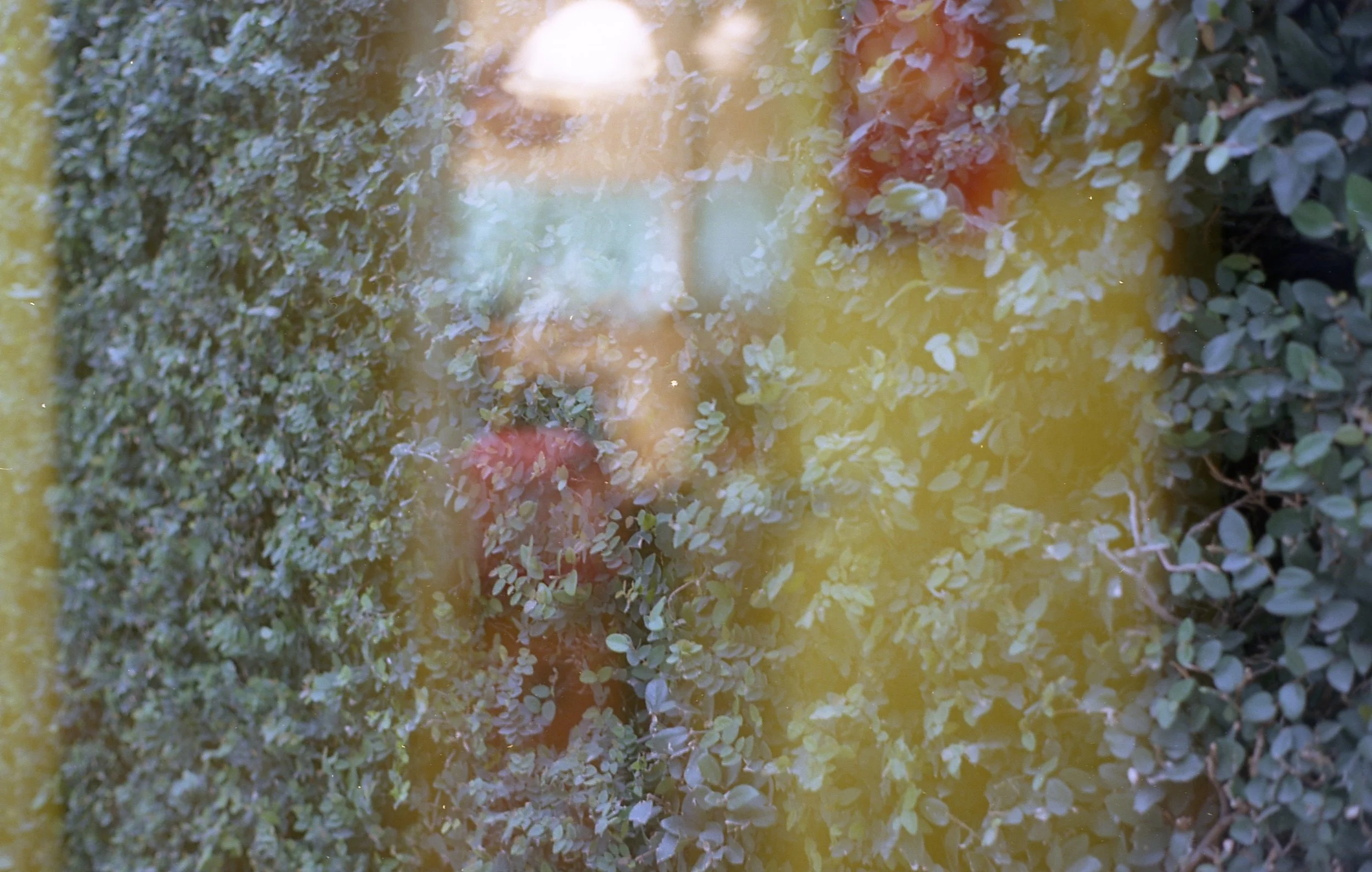 burned at your cross