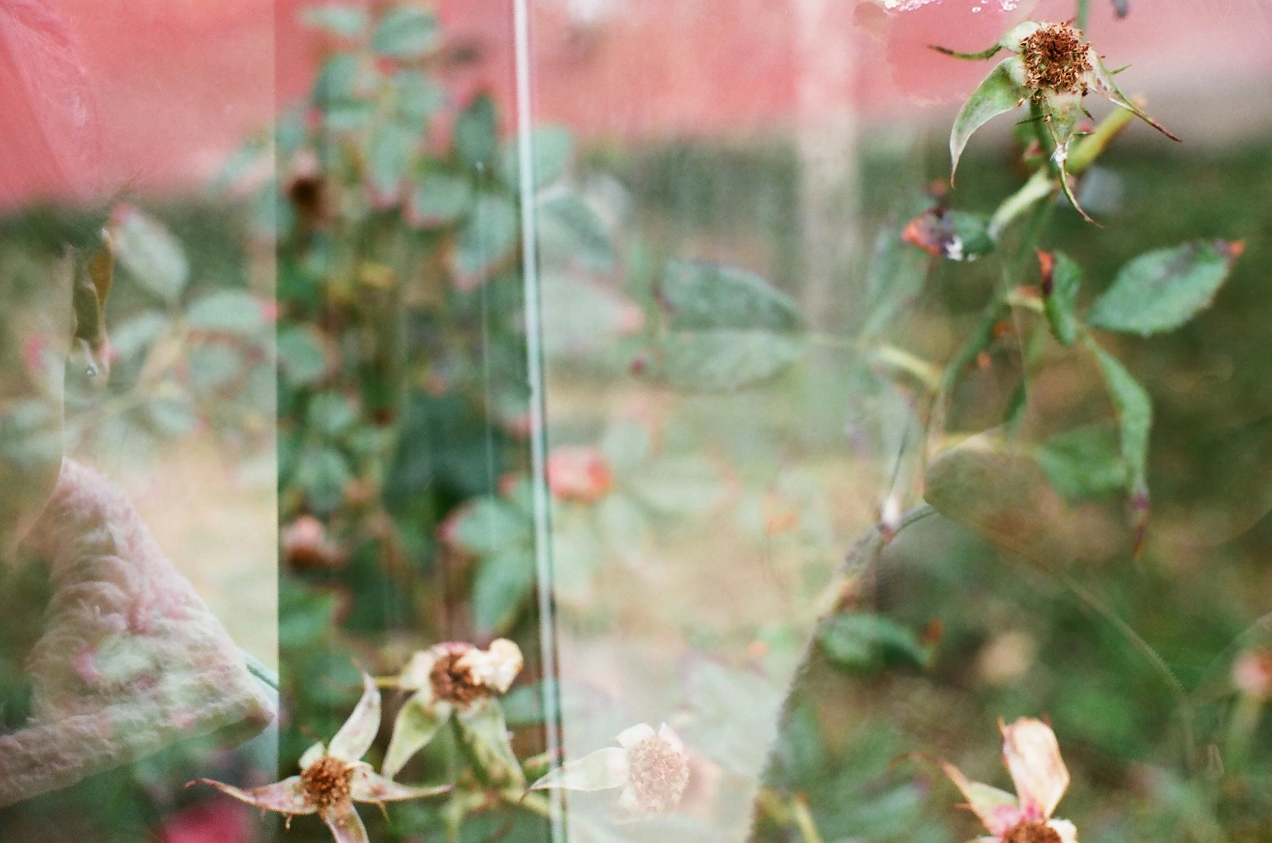 Hot Coffee on a Hot Day