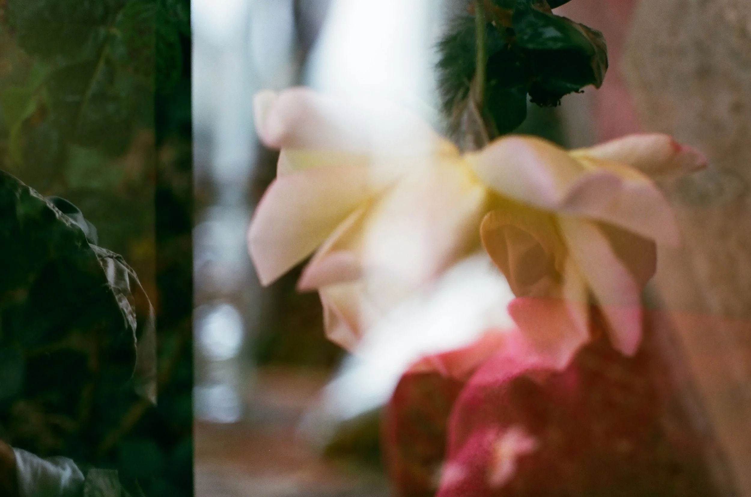 afternoons don’t get lousier than this