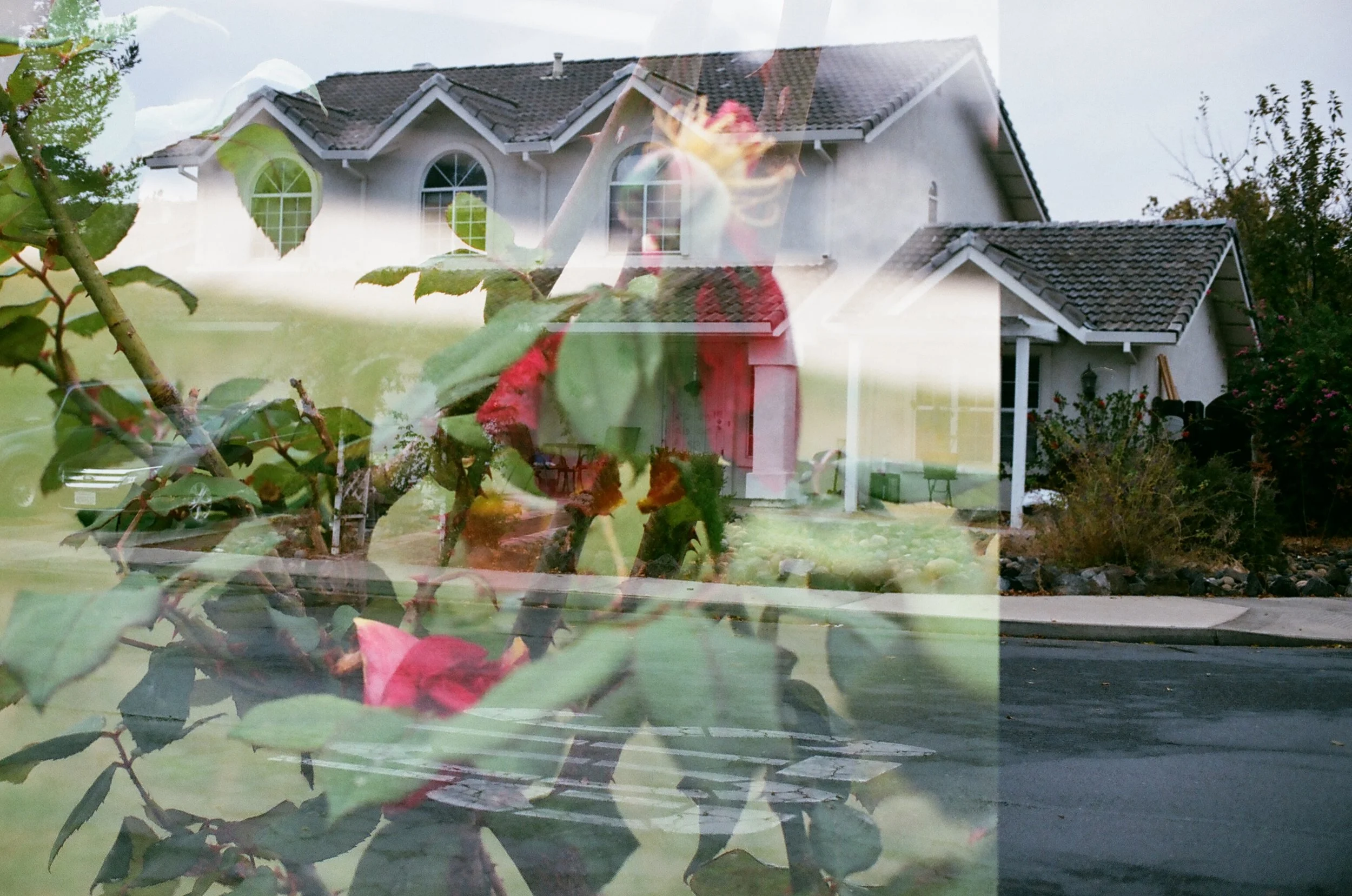 it has been a long year after all