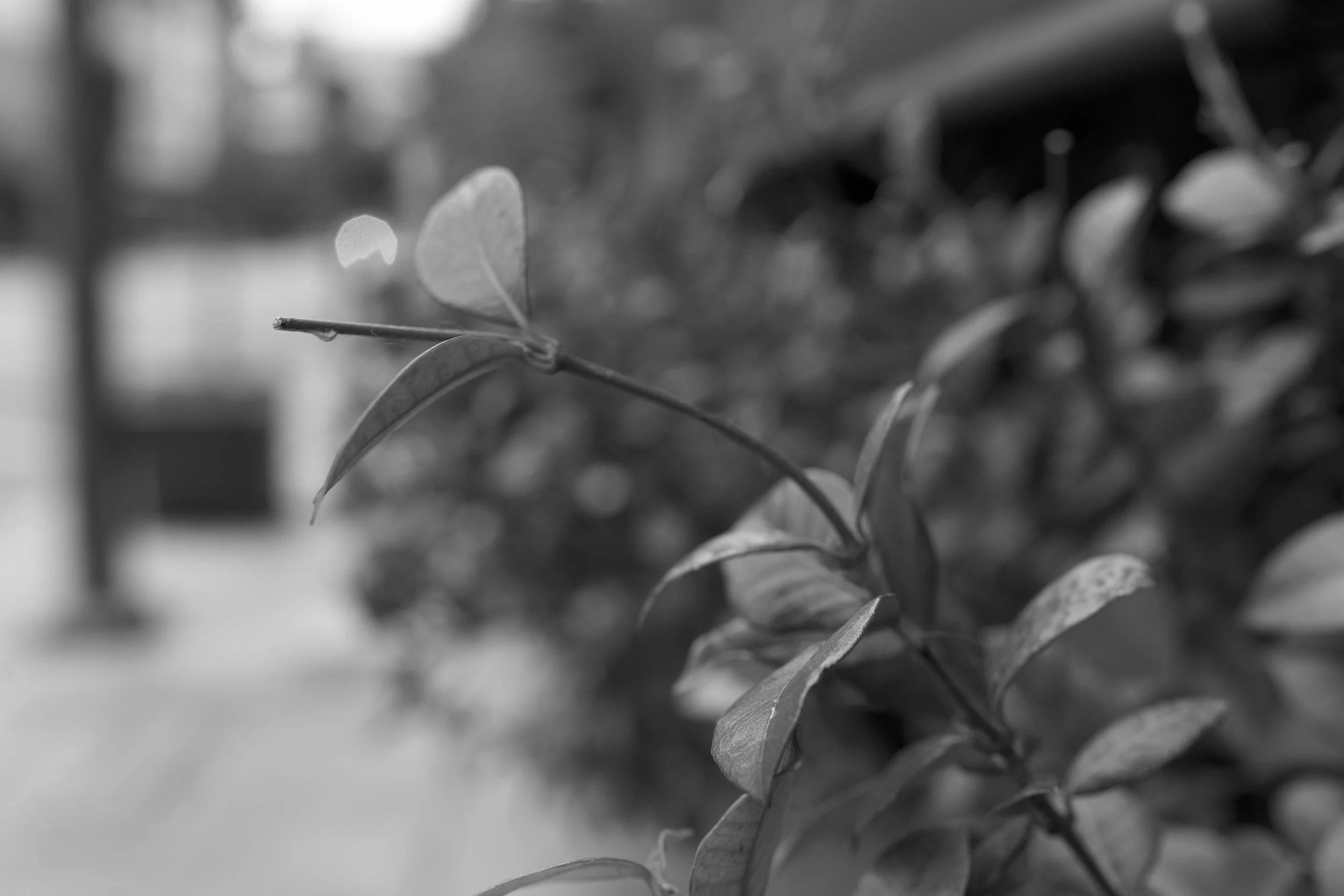 Downtown Los Angeles