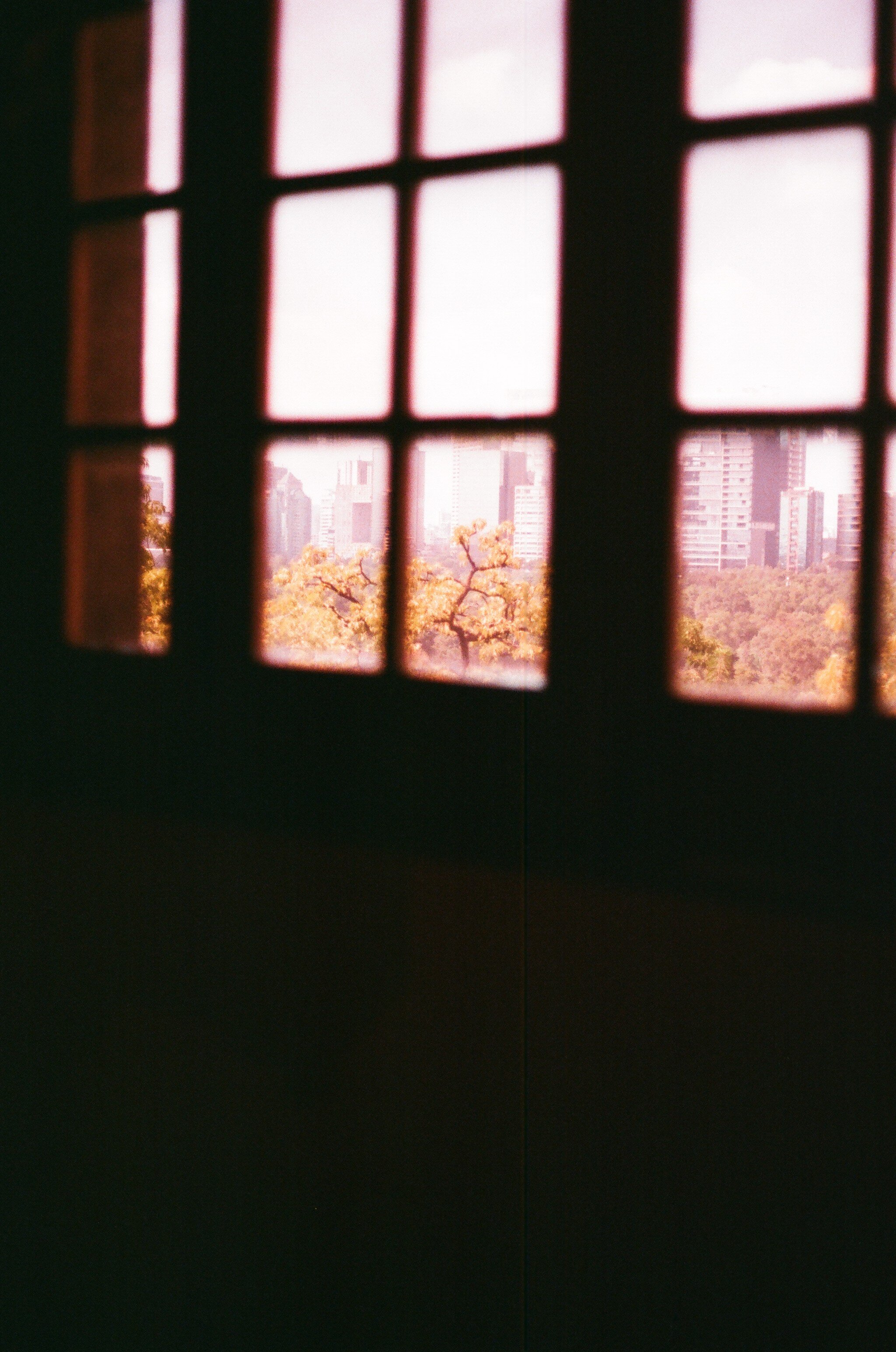 Museo de Antropología