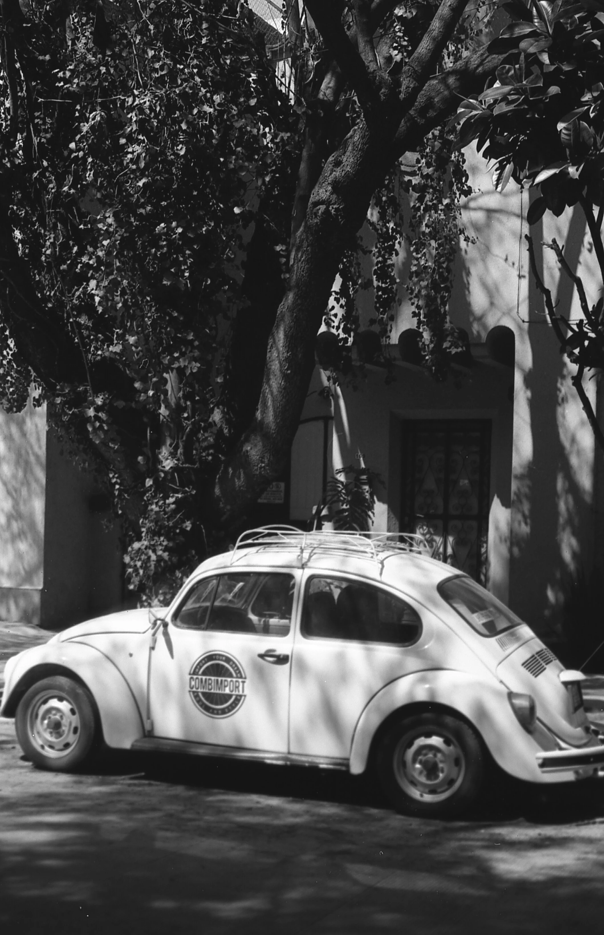 Mexico City Buggy #1