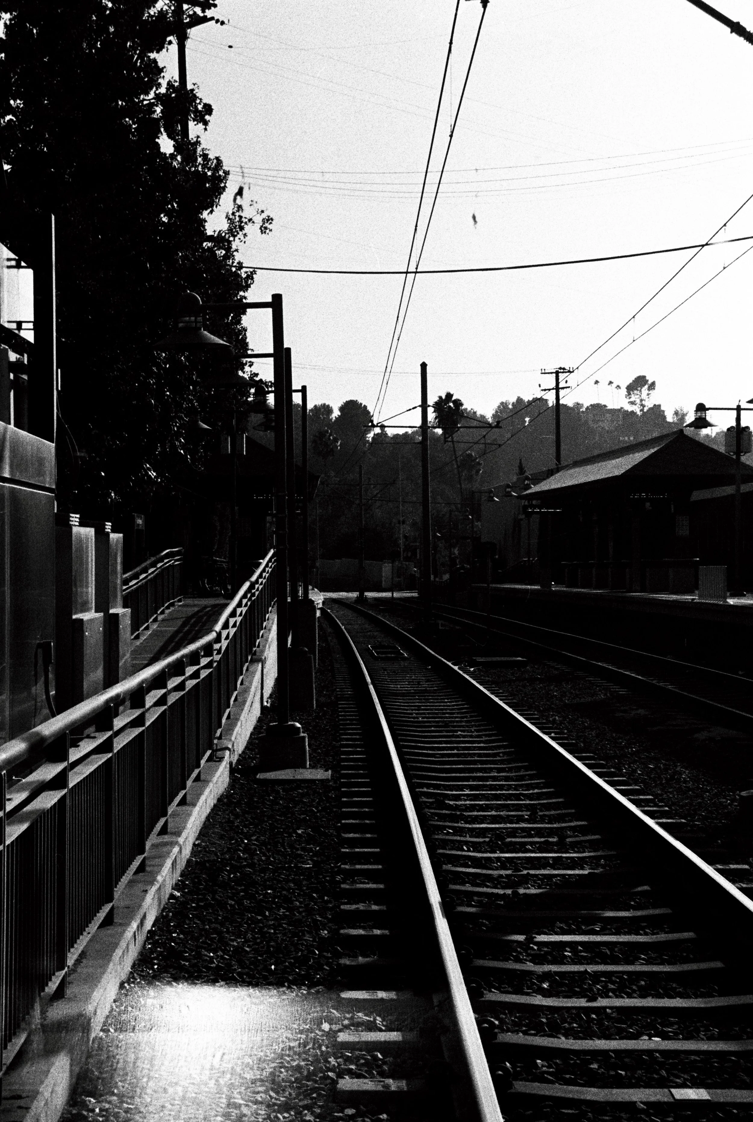 Photo39_36 copy 2.jpg