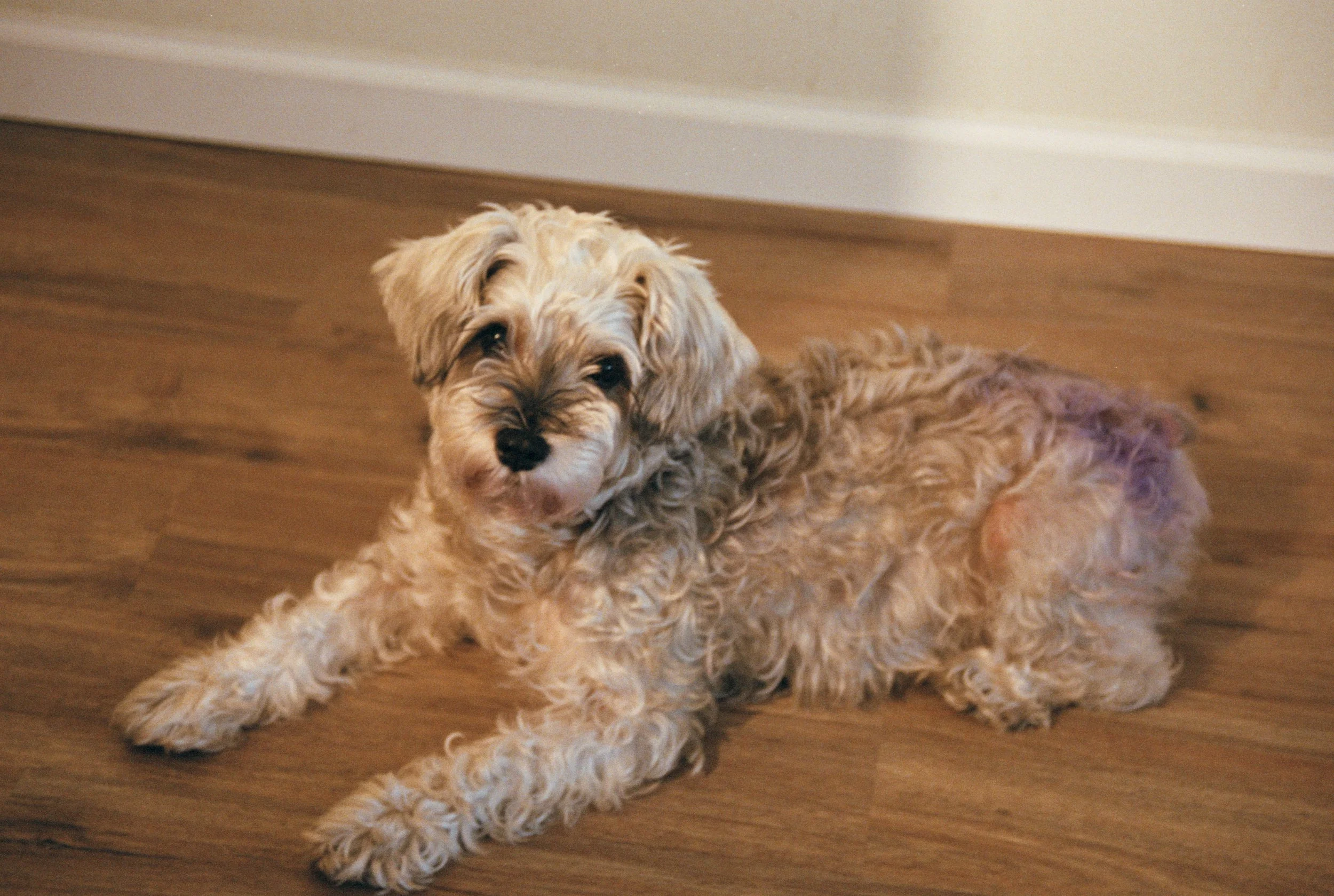 Photo34_31 copy 2.jpg