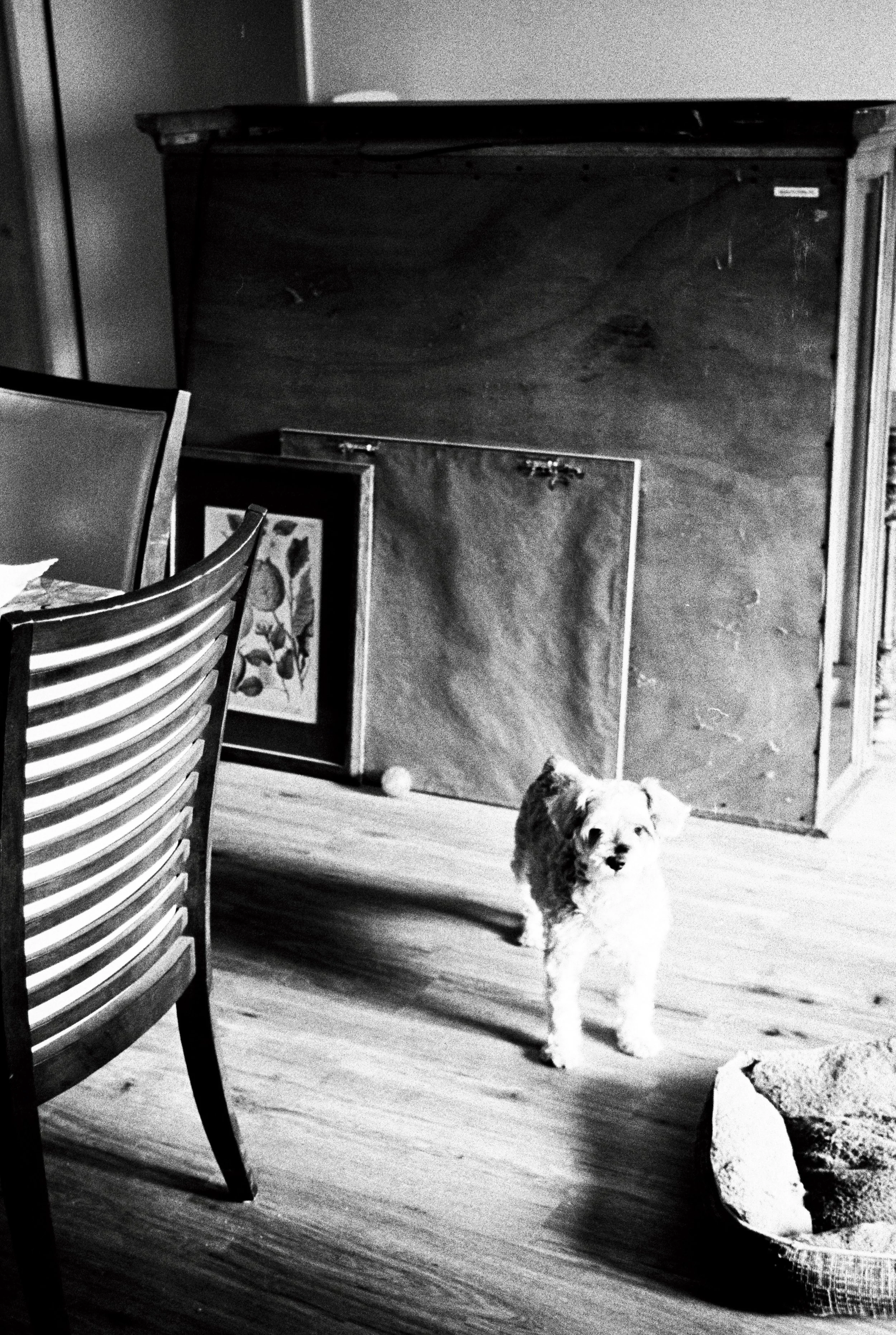 Photo38_35 copy 2.jpg