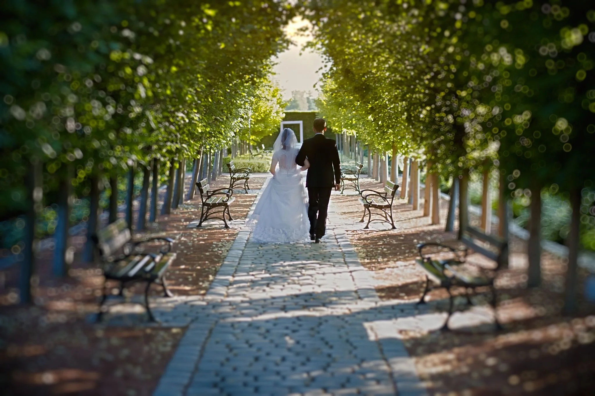 SESJA ŚLUBNA OGRODY KAPIAS (119).jpg