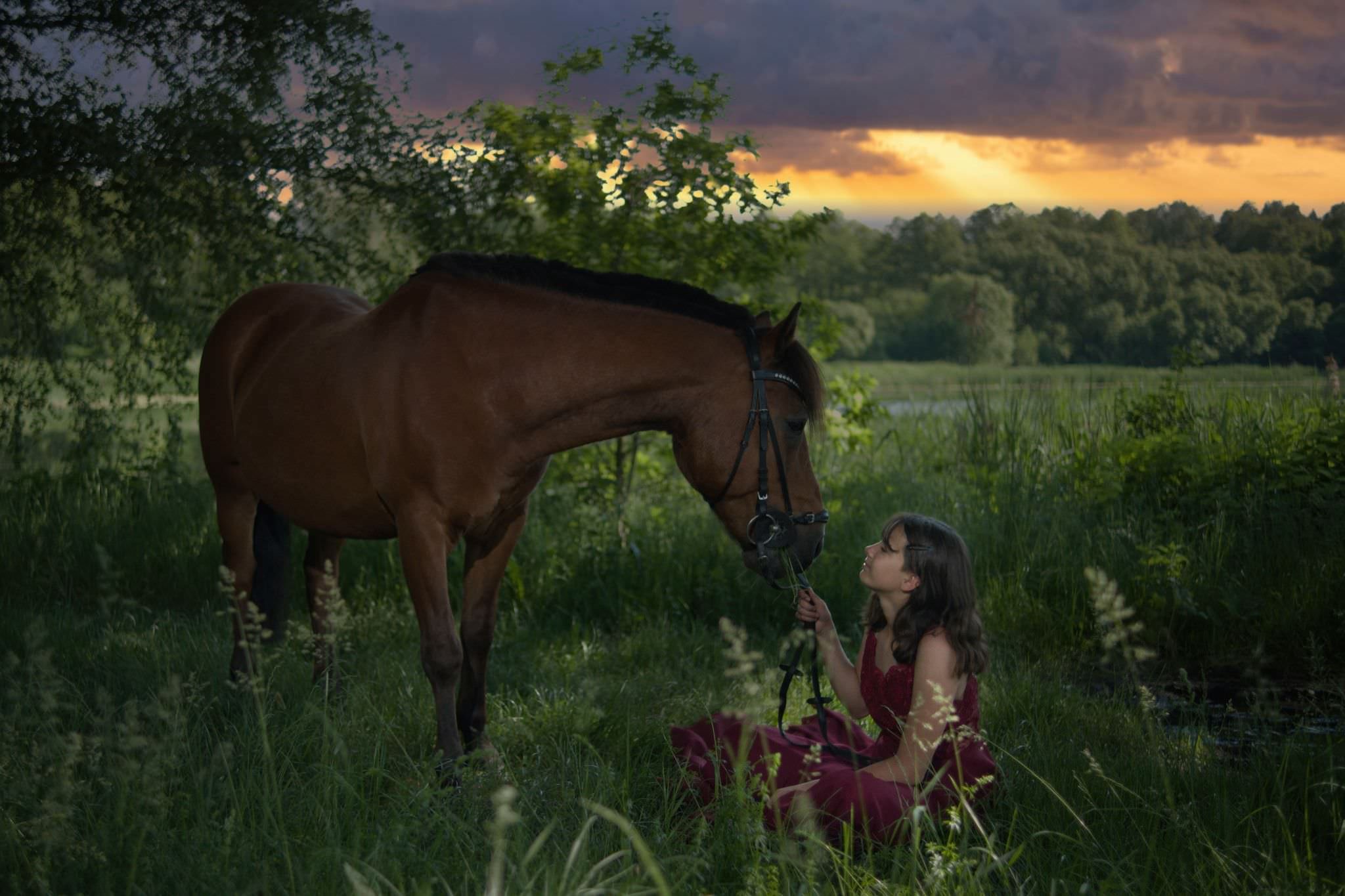 Sesja z koniem zdjęcia z koniem amfotografia — amfotografia