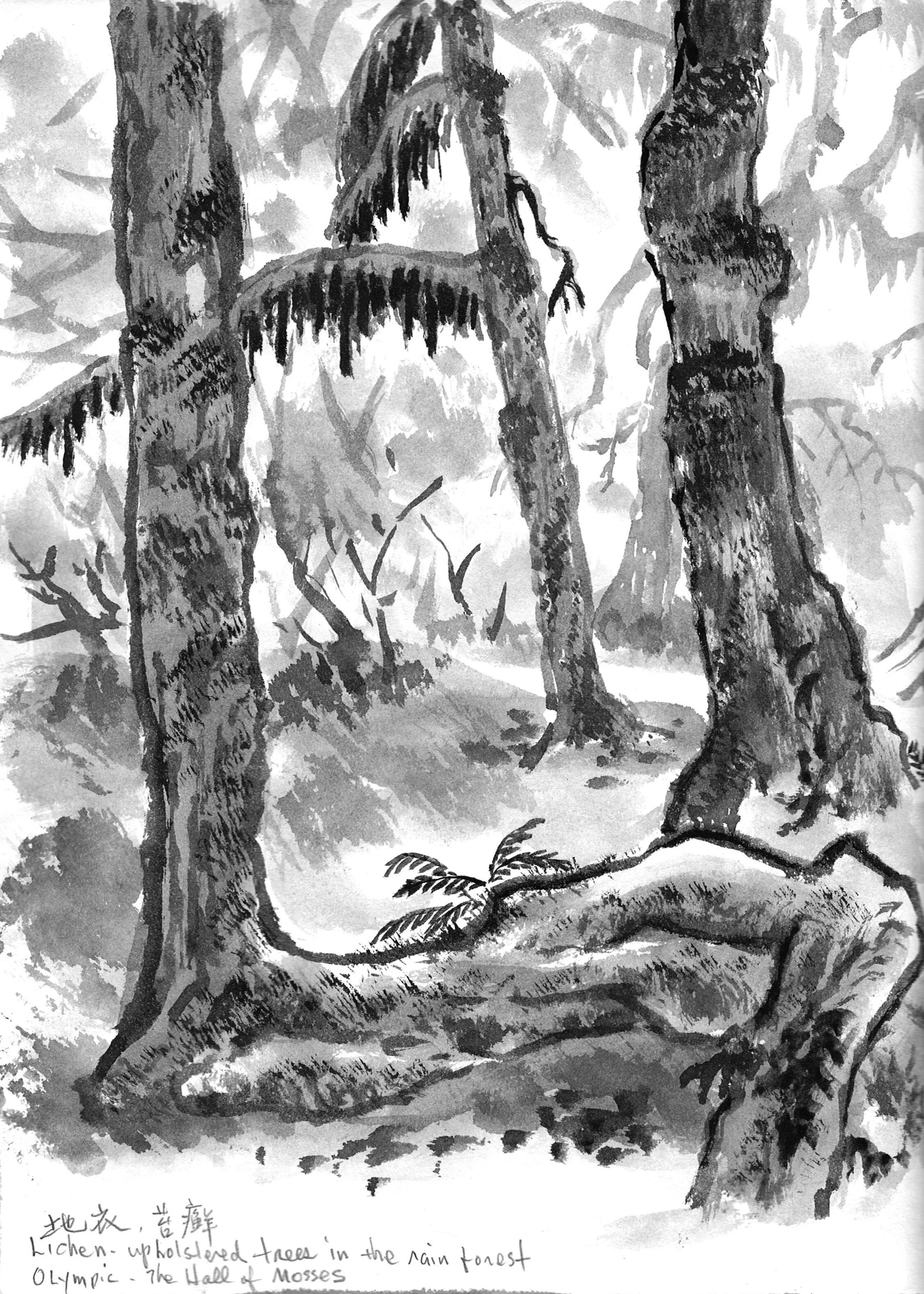 SCAN0029.JPG