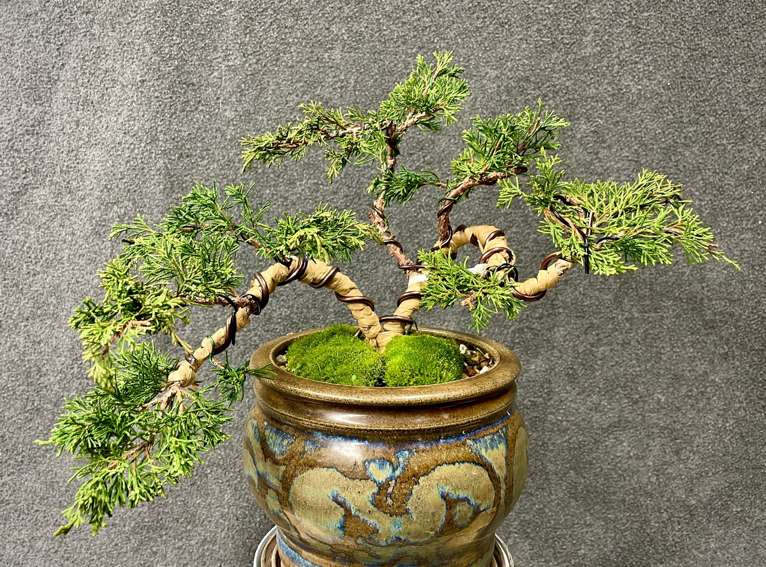 Raffia wrapped, heavier wiring and bringing branched close to center