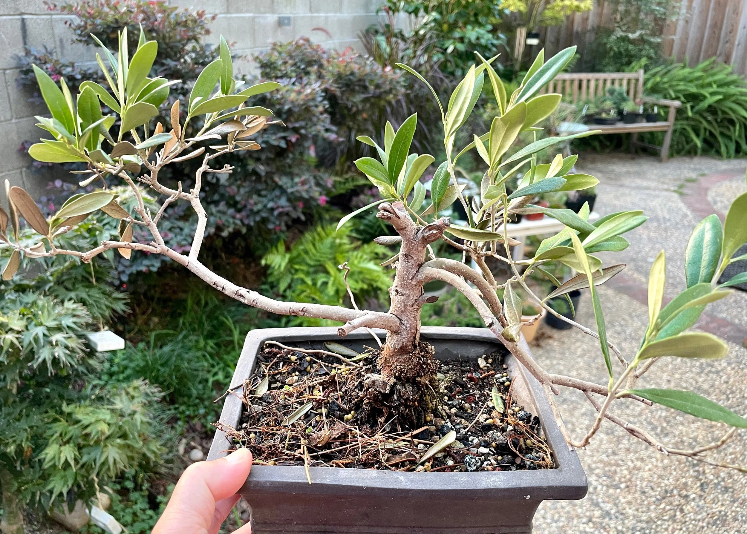 Sep 28, 2023 acquired