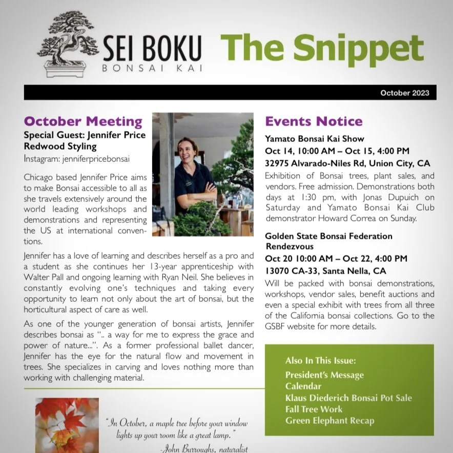 Volunteering as SBBK Snippet Editor