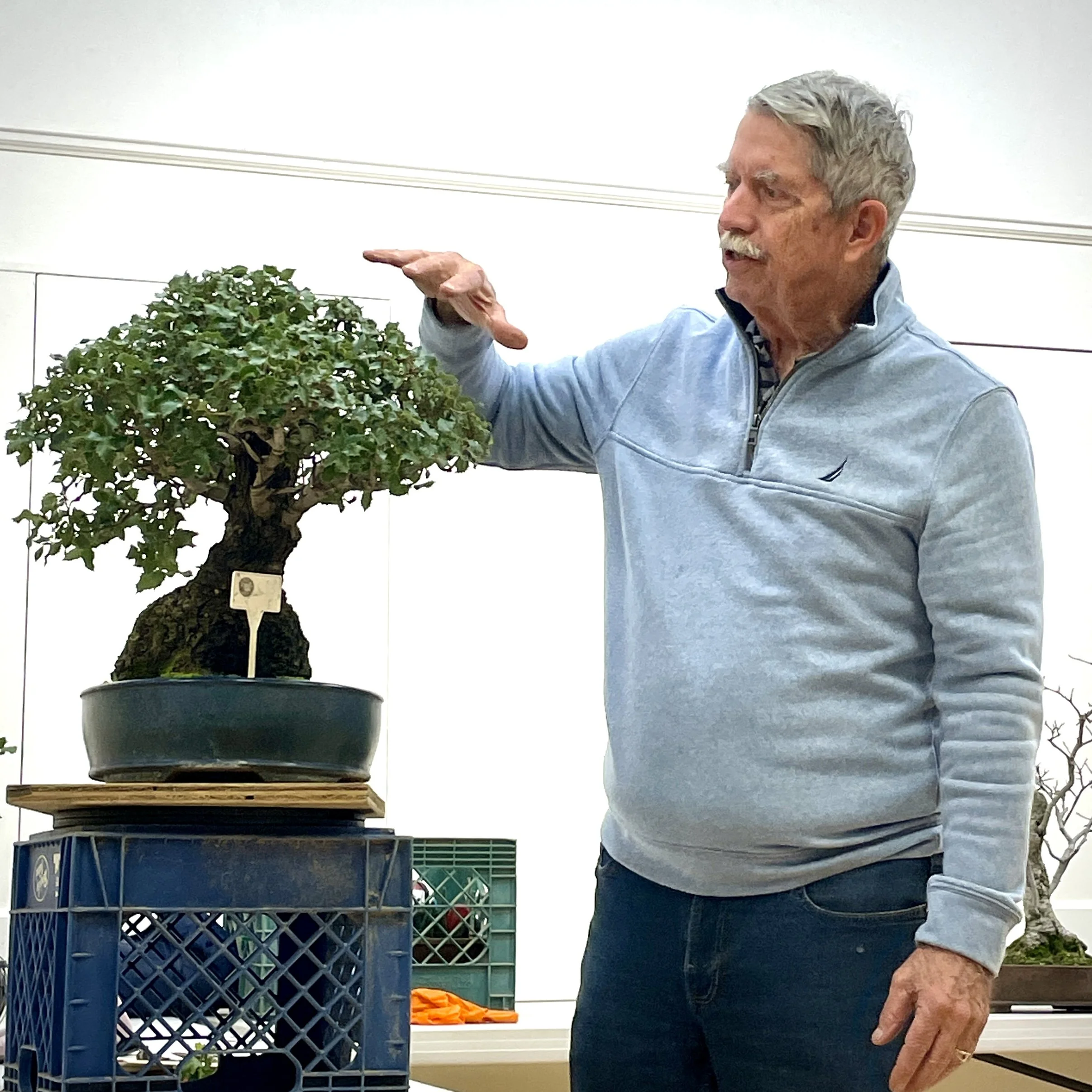 Seasonal Oak Care: SBBK JT