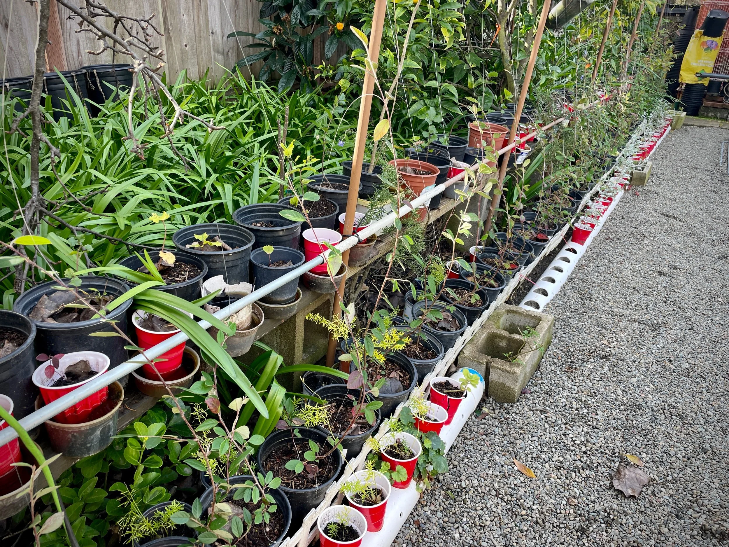 Backyard Nursery, Union City