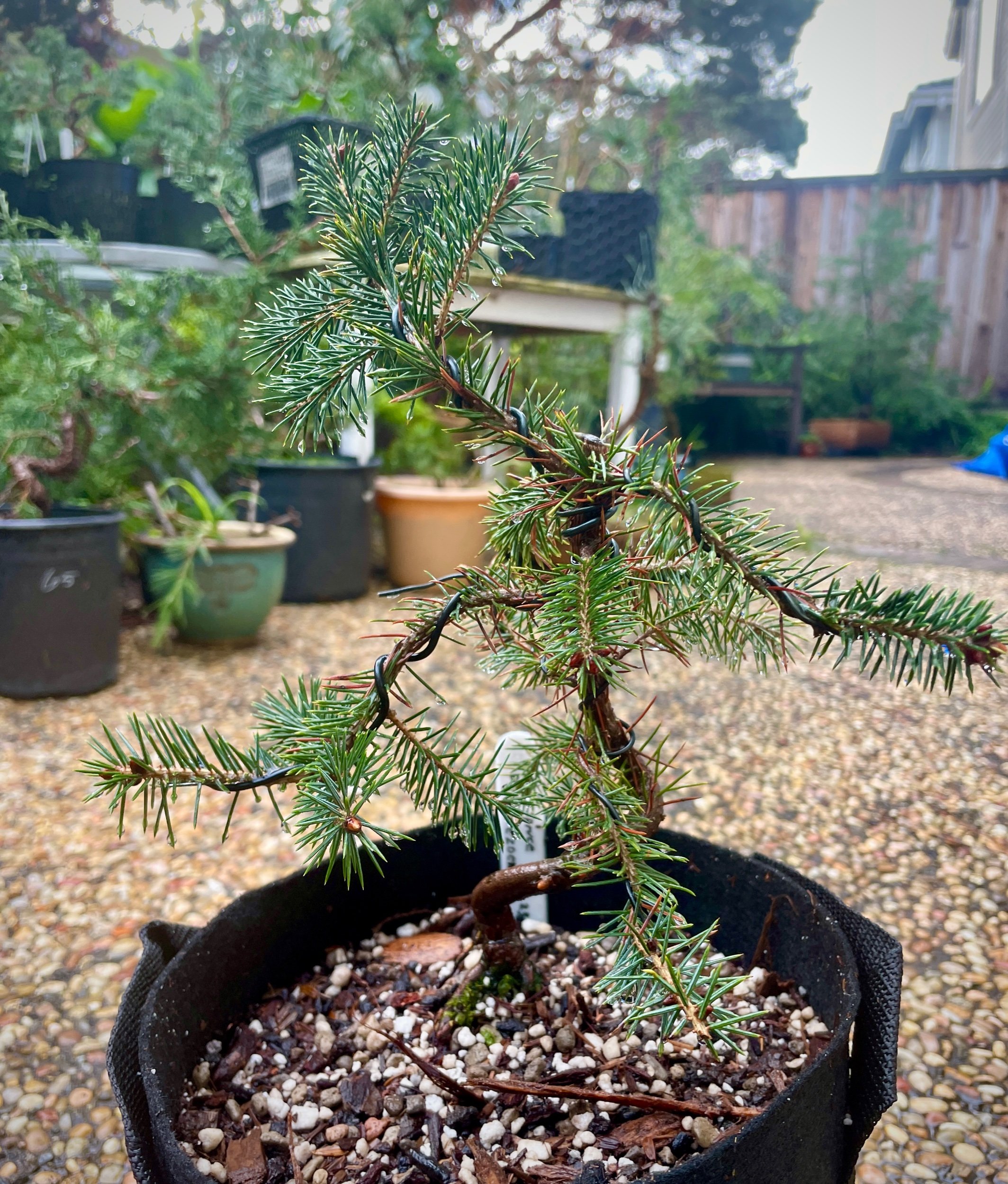 Feb 2024 repot