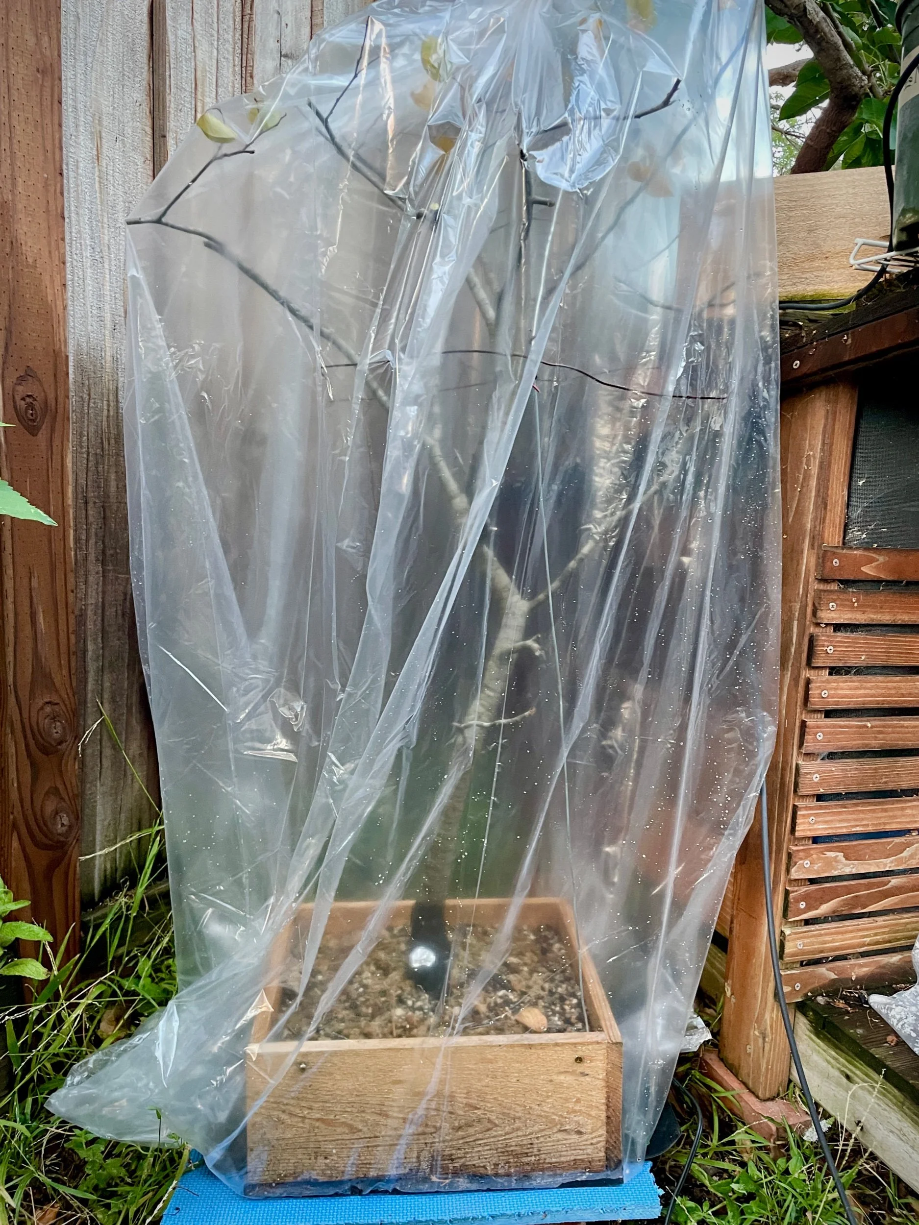 Collecting After-care