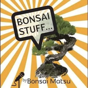 Deciduous Development, Bonsai Matsu